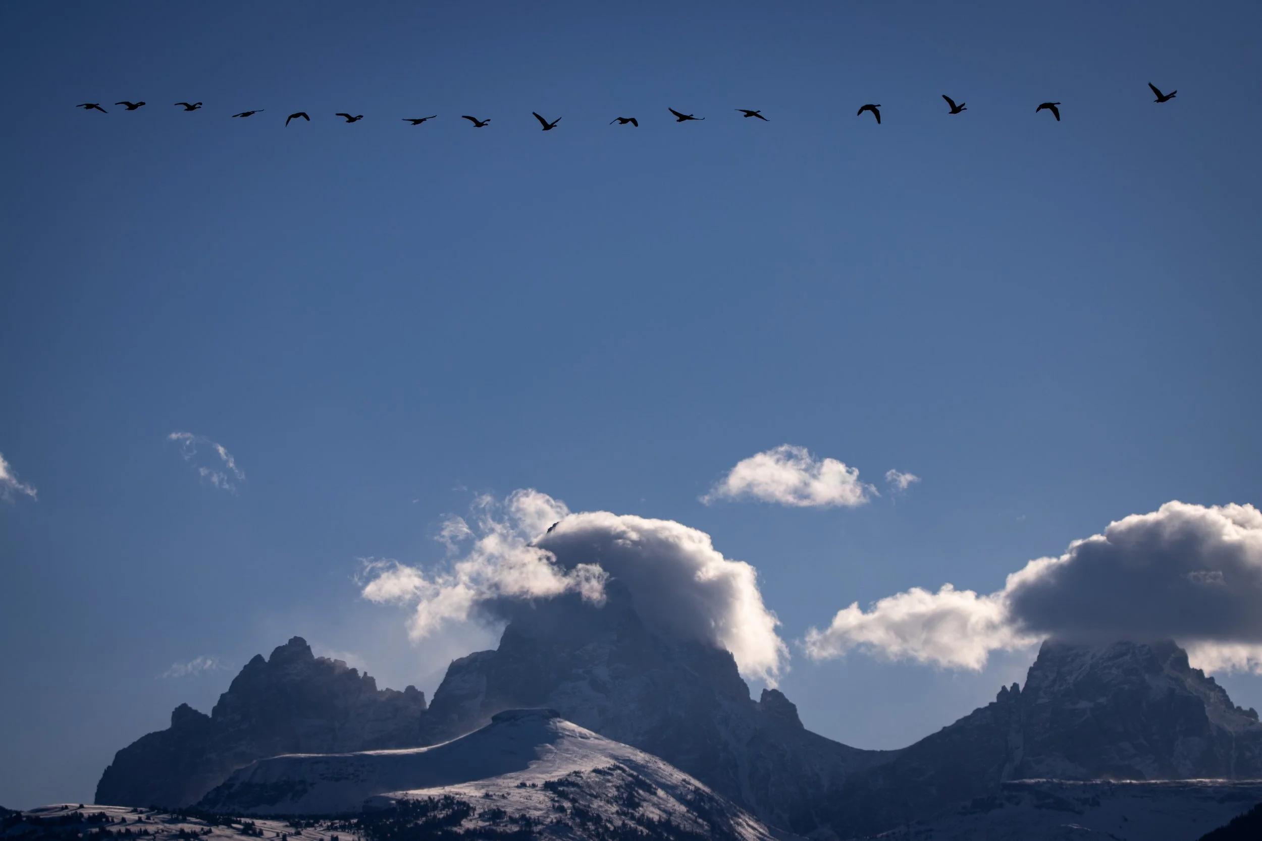 20251019114451065 Tetons.jpg