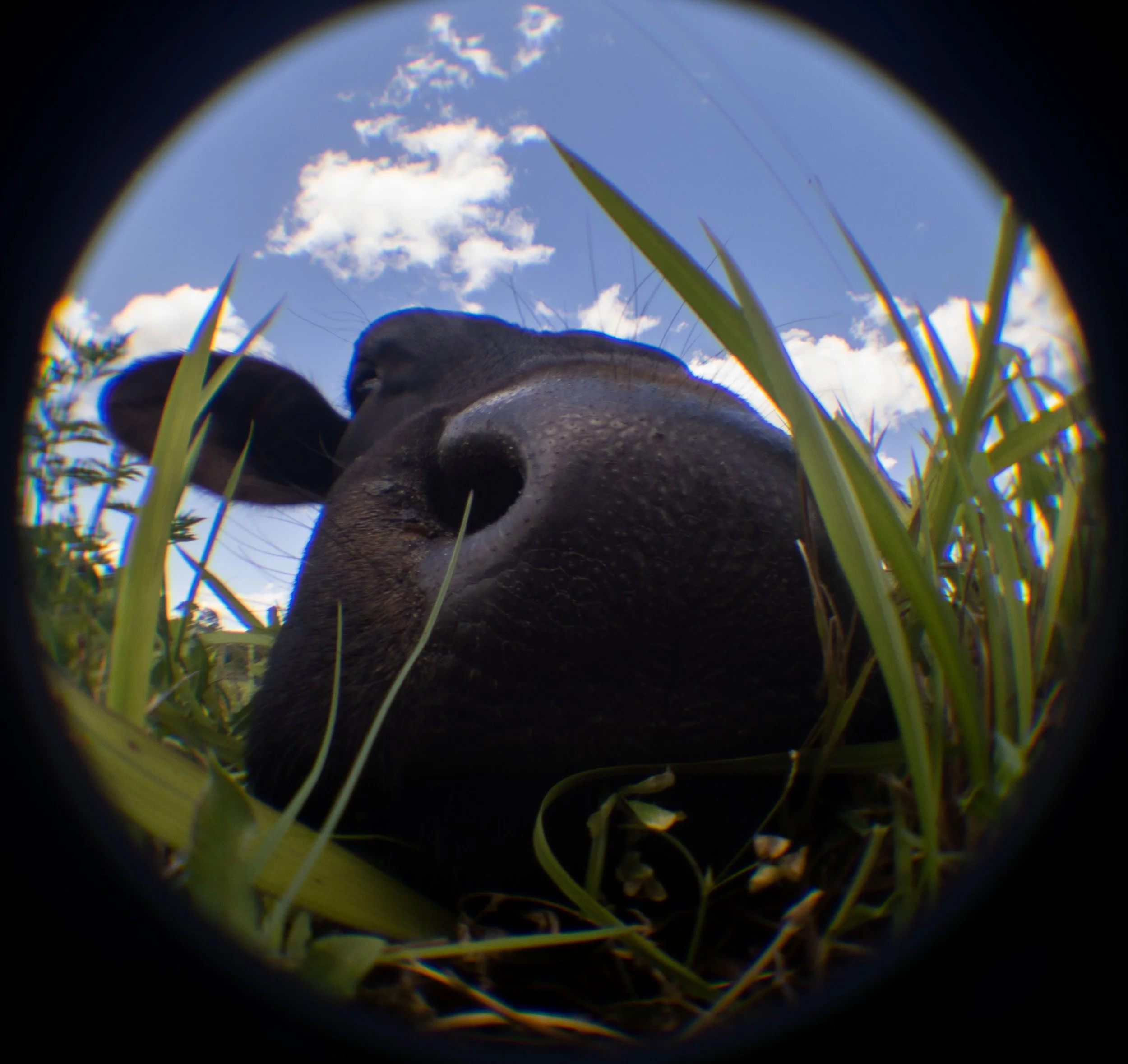 20220409032917145 Relic Ranch.jpg