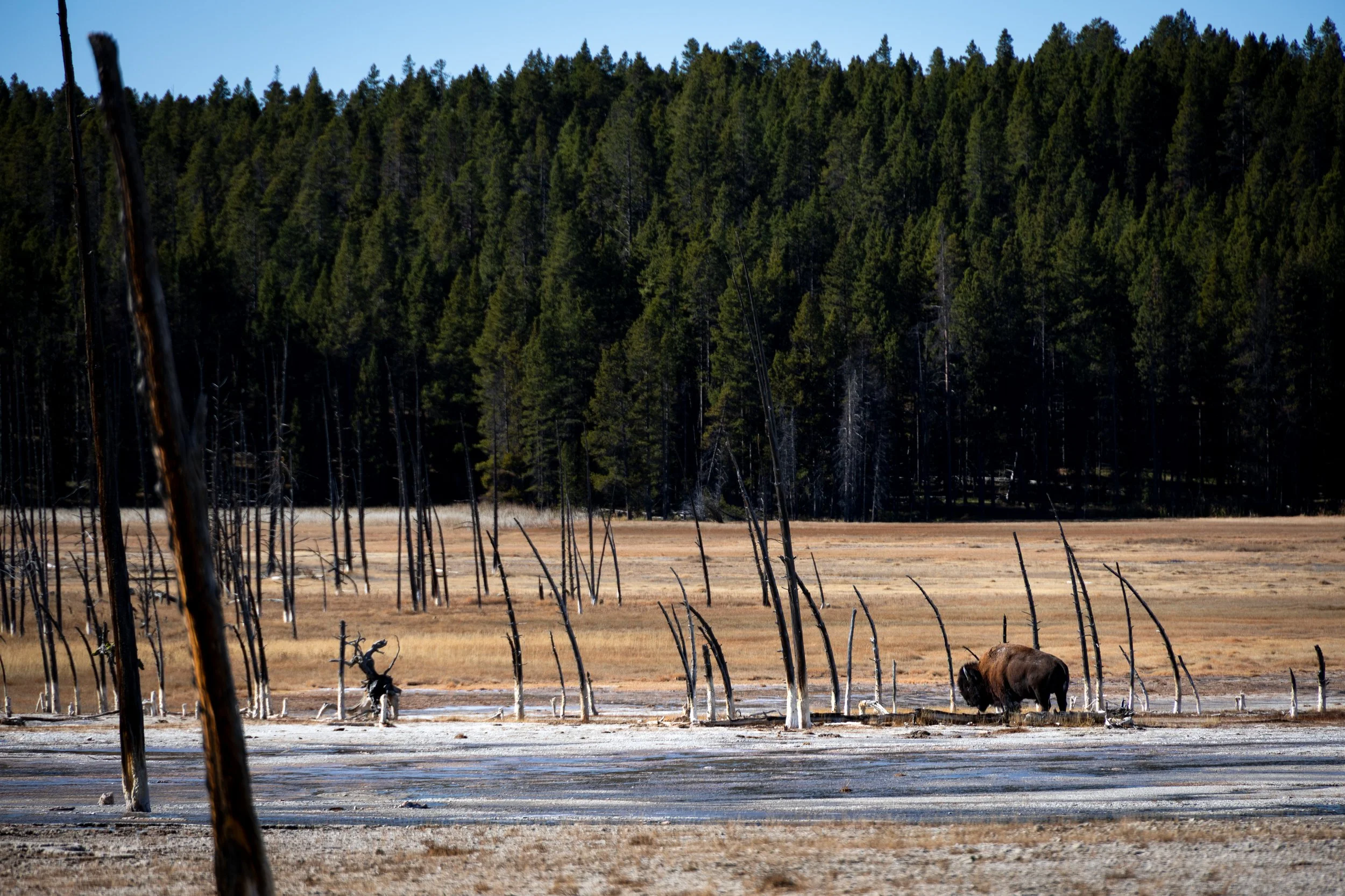 20251021134524260 Fountain Pot Trail.jpg