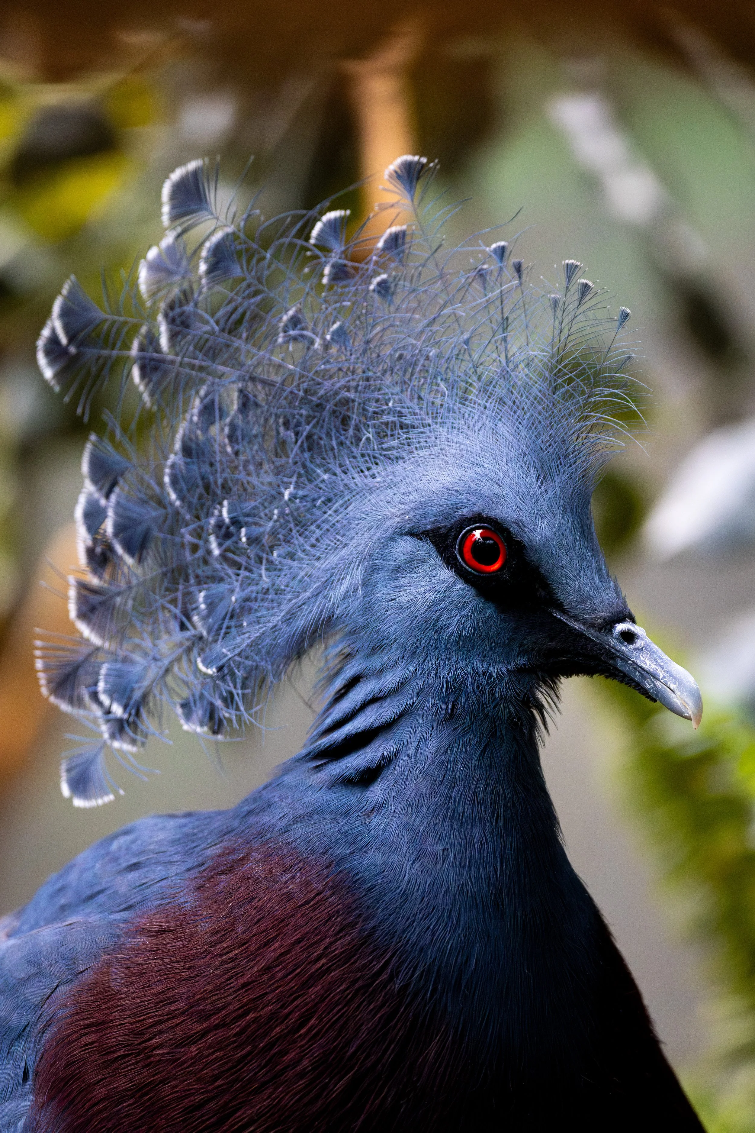 20251111134521483 Cincinatti Zoo.jpg