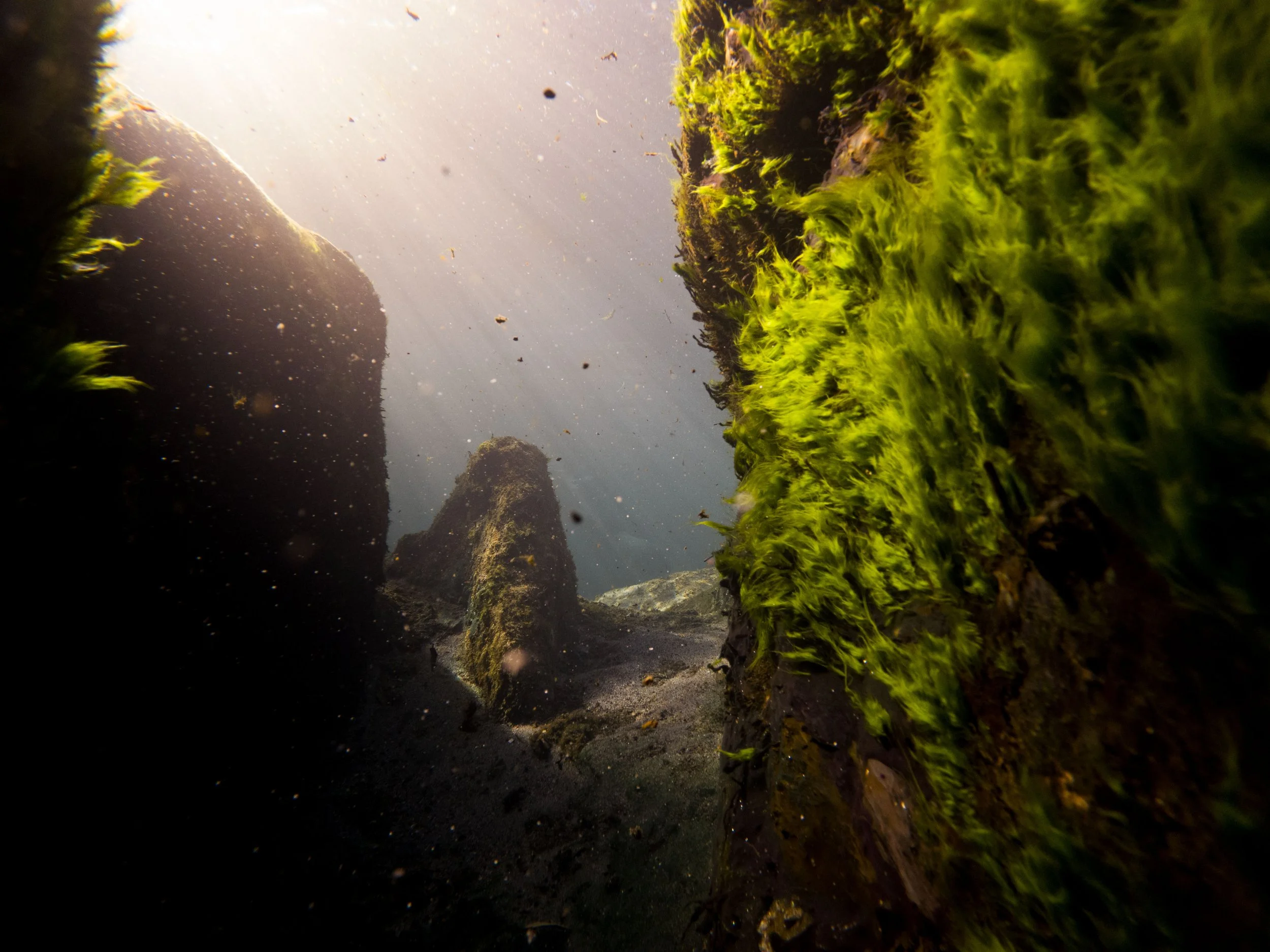 20220221171610086 Wekiwa Springs.jpg