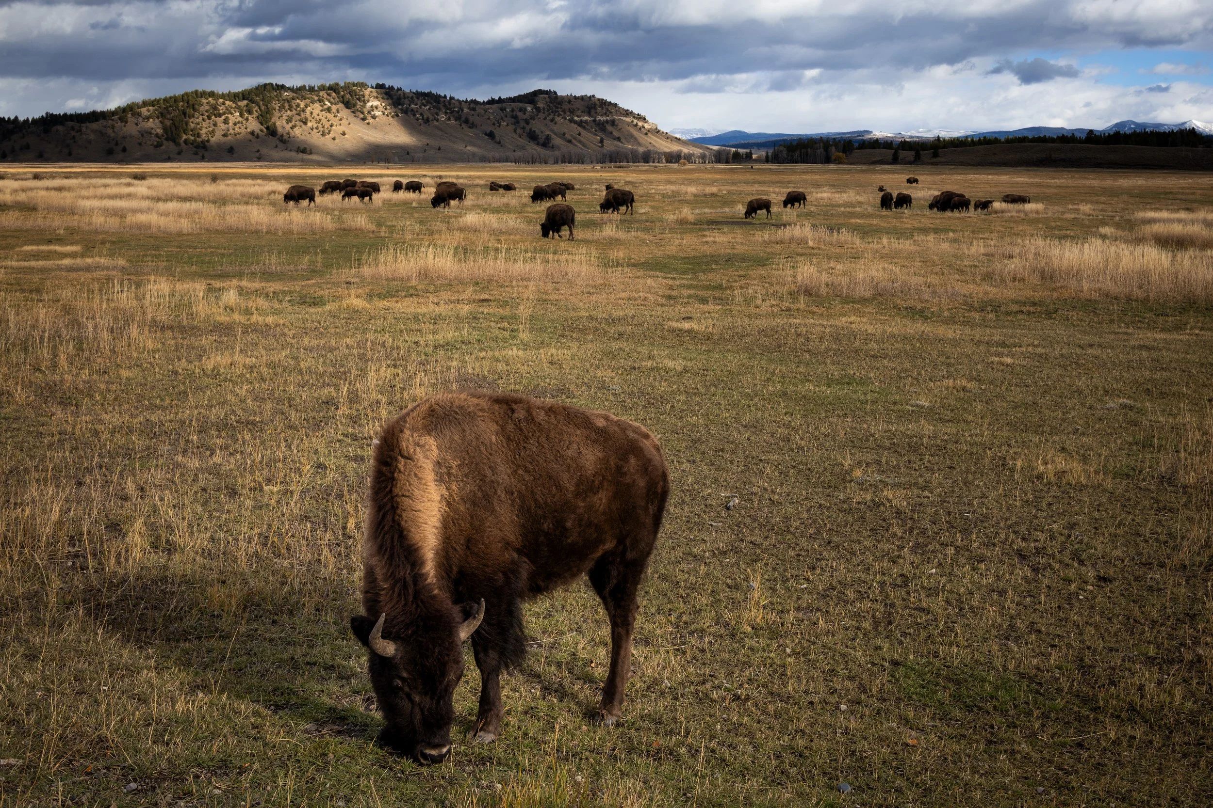 20251020174928002 Teton National Park.jpg