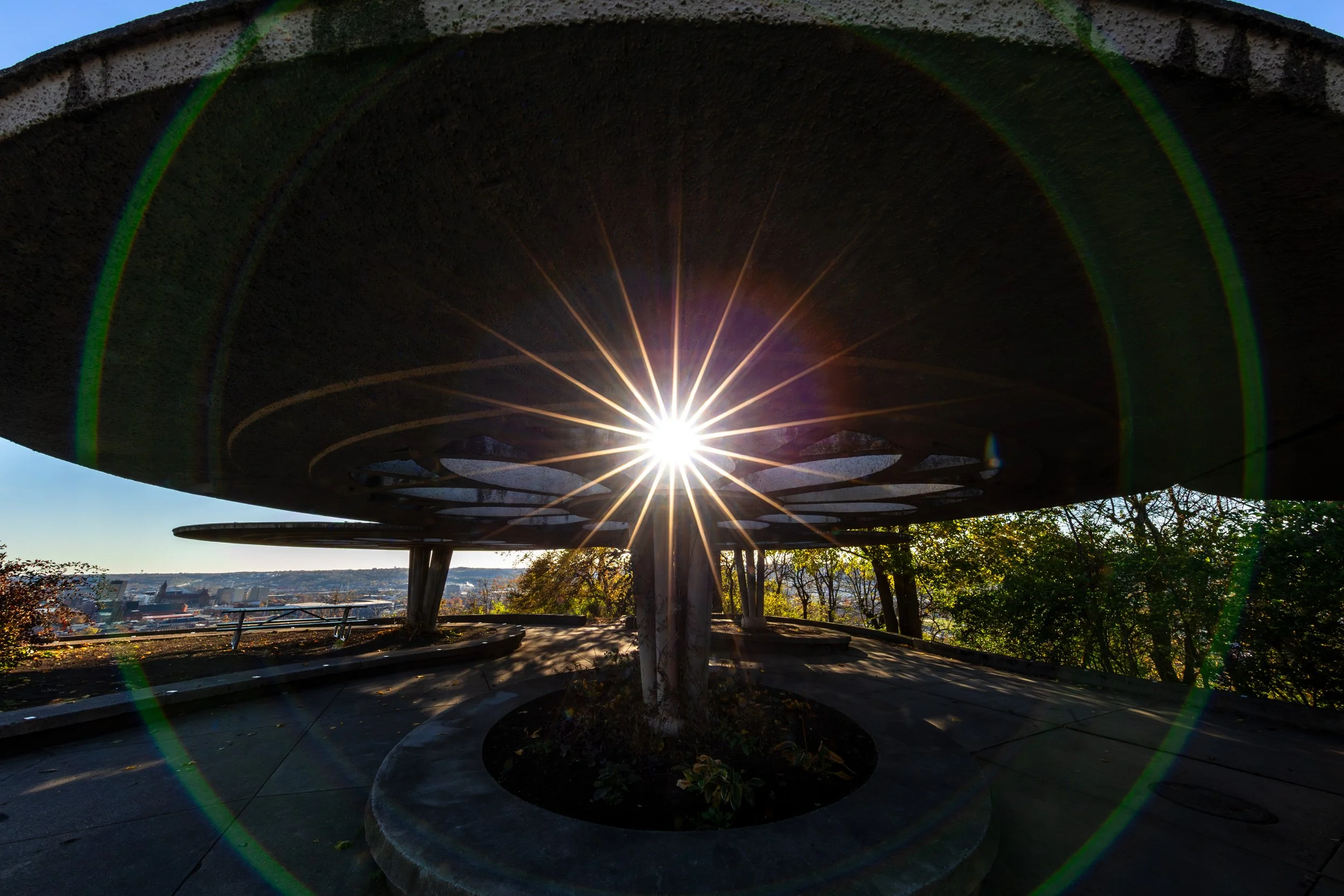 20251113163532067 Bellevue Hill Park.jpg