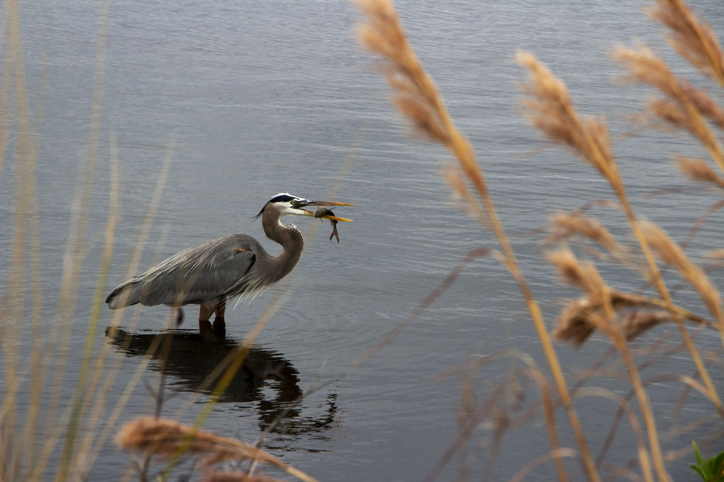 20191103130442021 Black Point Drive.jpg