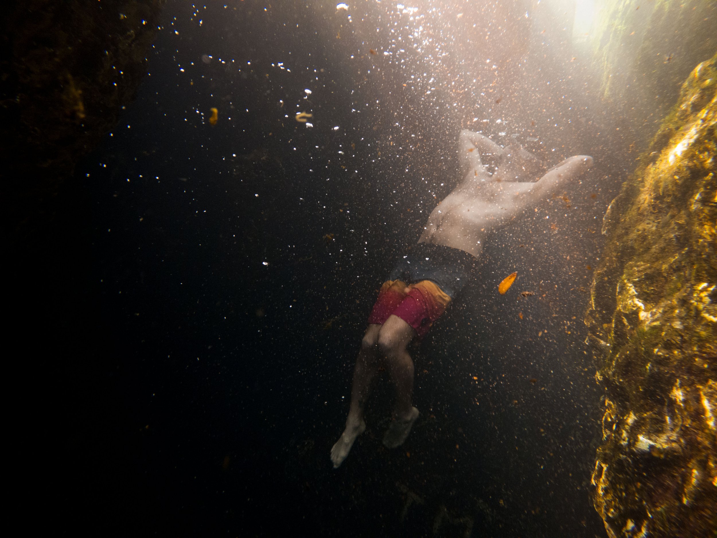 20220221171443083 Wekiwa Springs.jpg