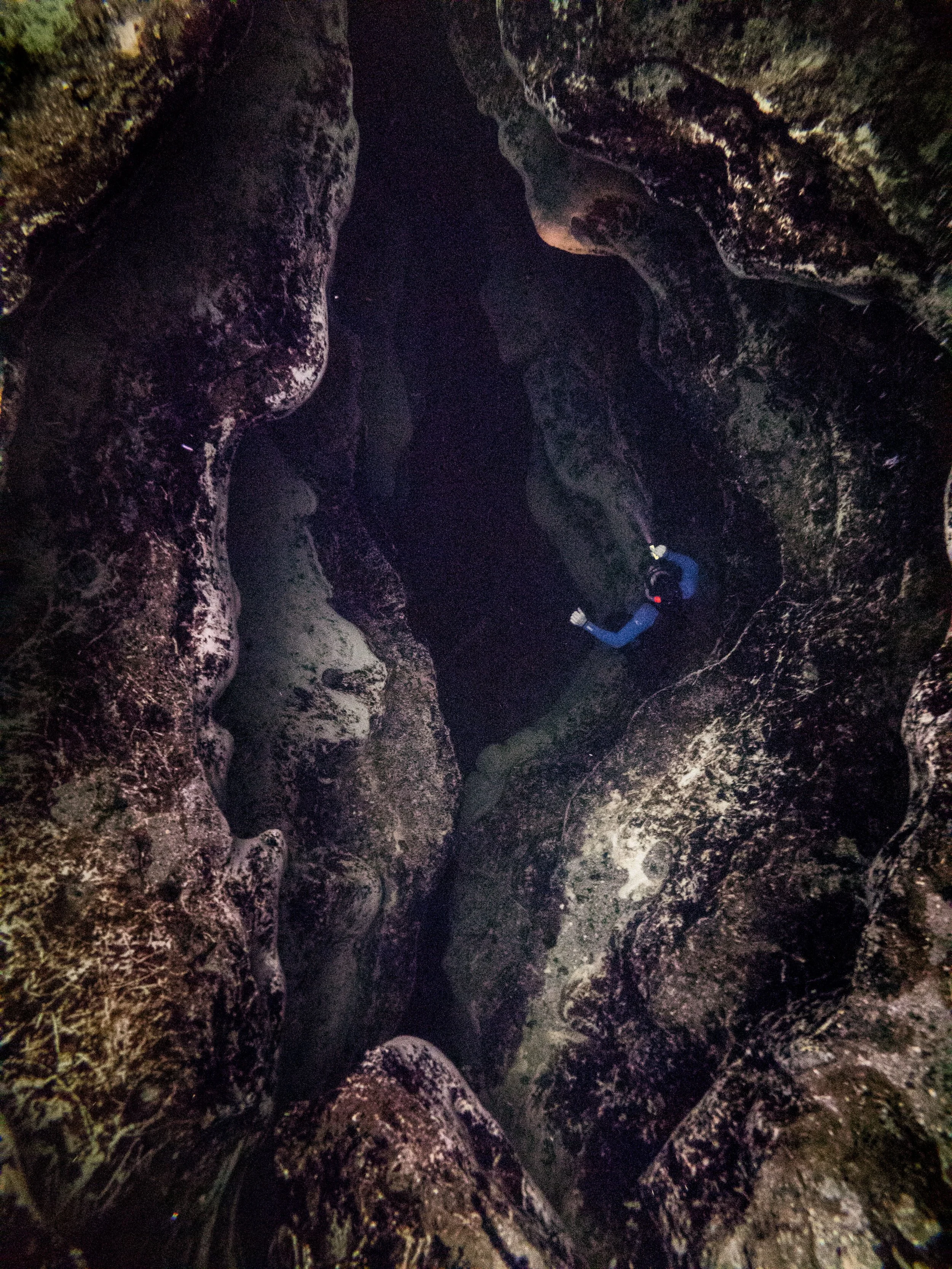 20210725191408040 Blue Springs.jpg