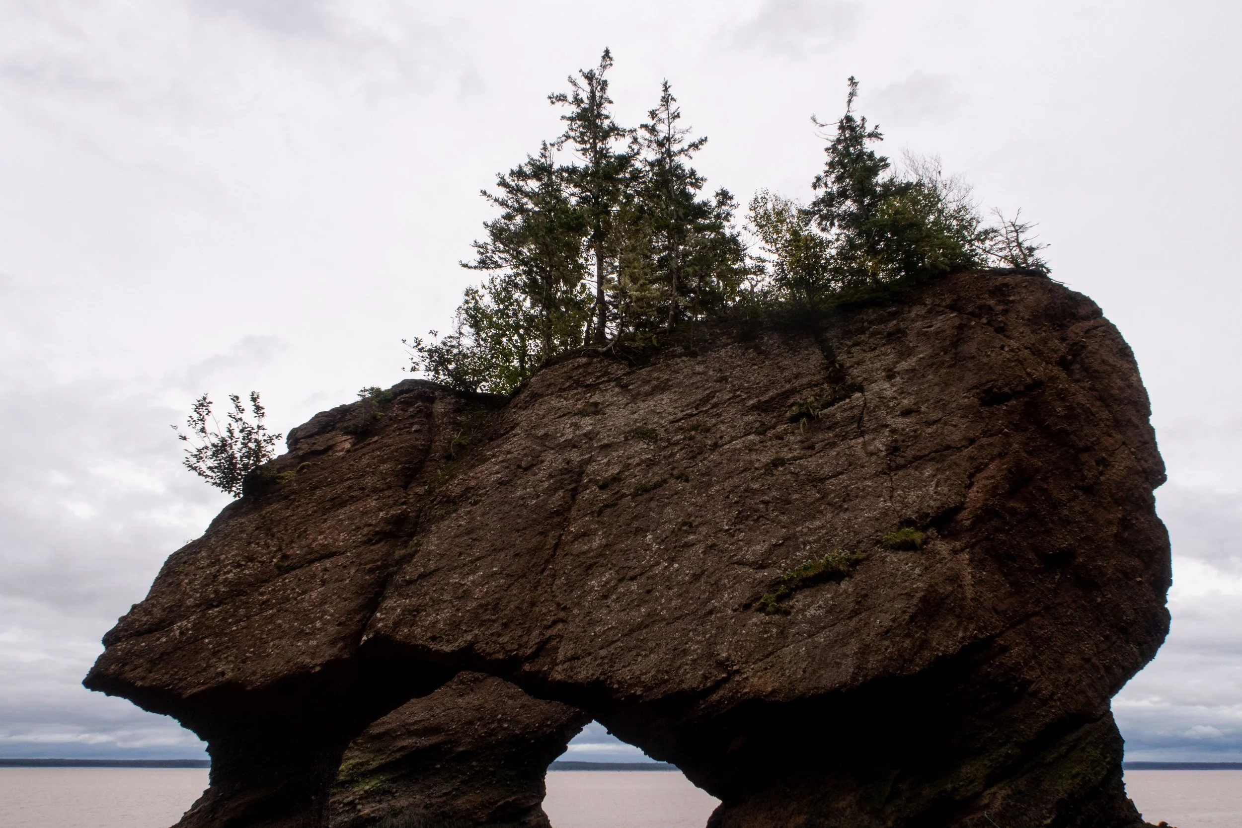 20220923160615131 Hopewell Rocks.jpg