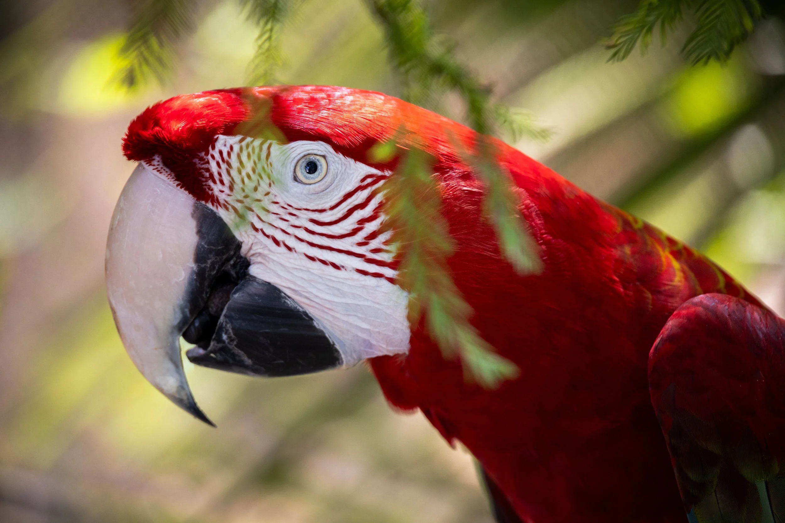 20230814165455352 RiverQuarium.jpg