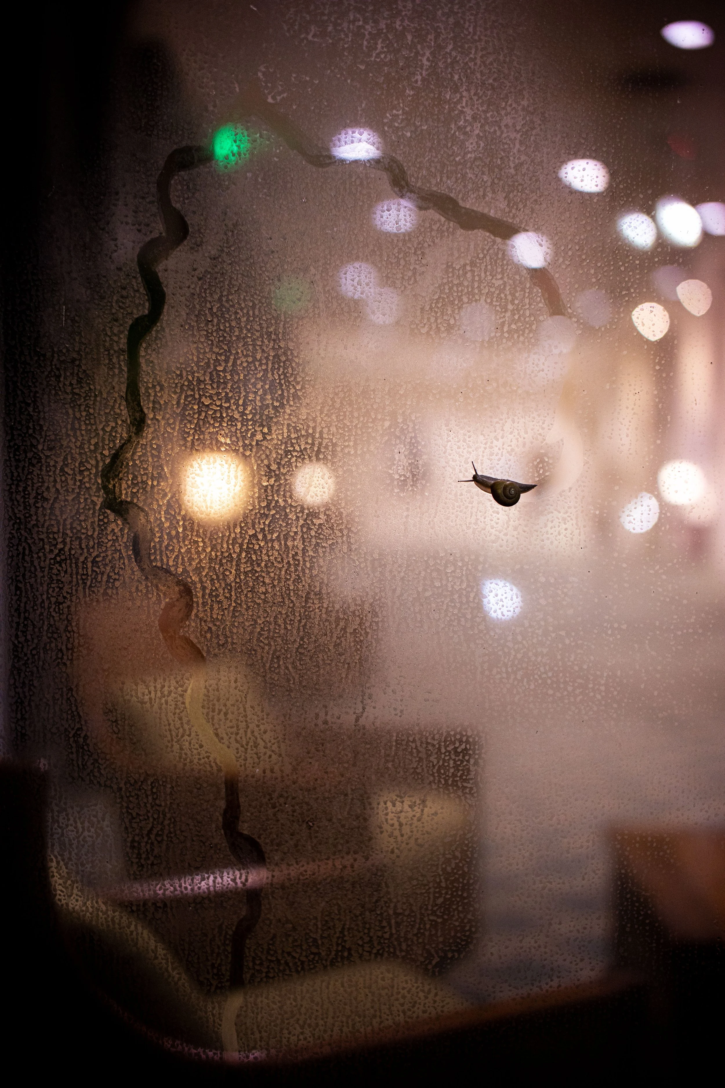 20210806010148006 Snell.jpg