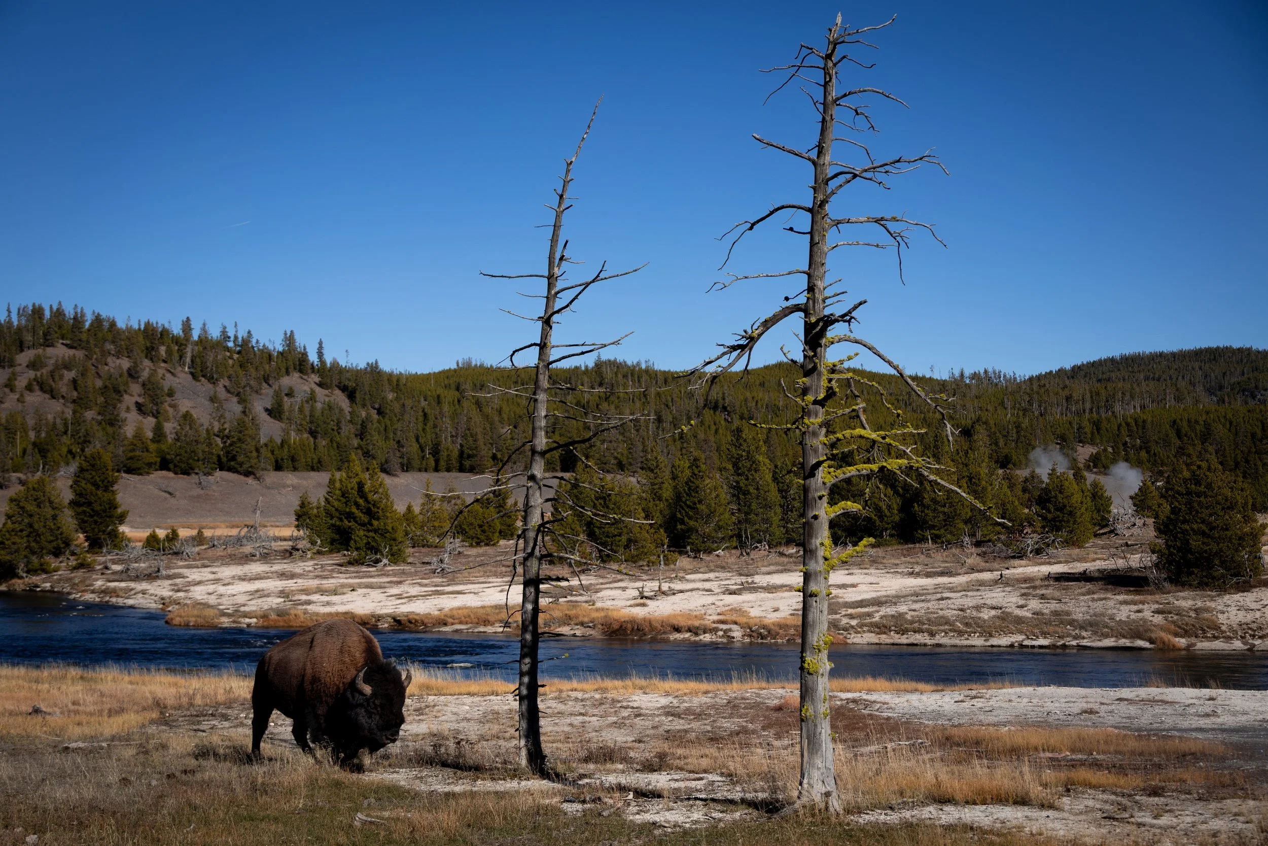 20251021171008787 Fairy Falls Trail.jpg