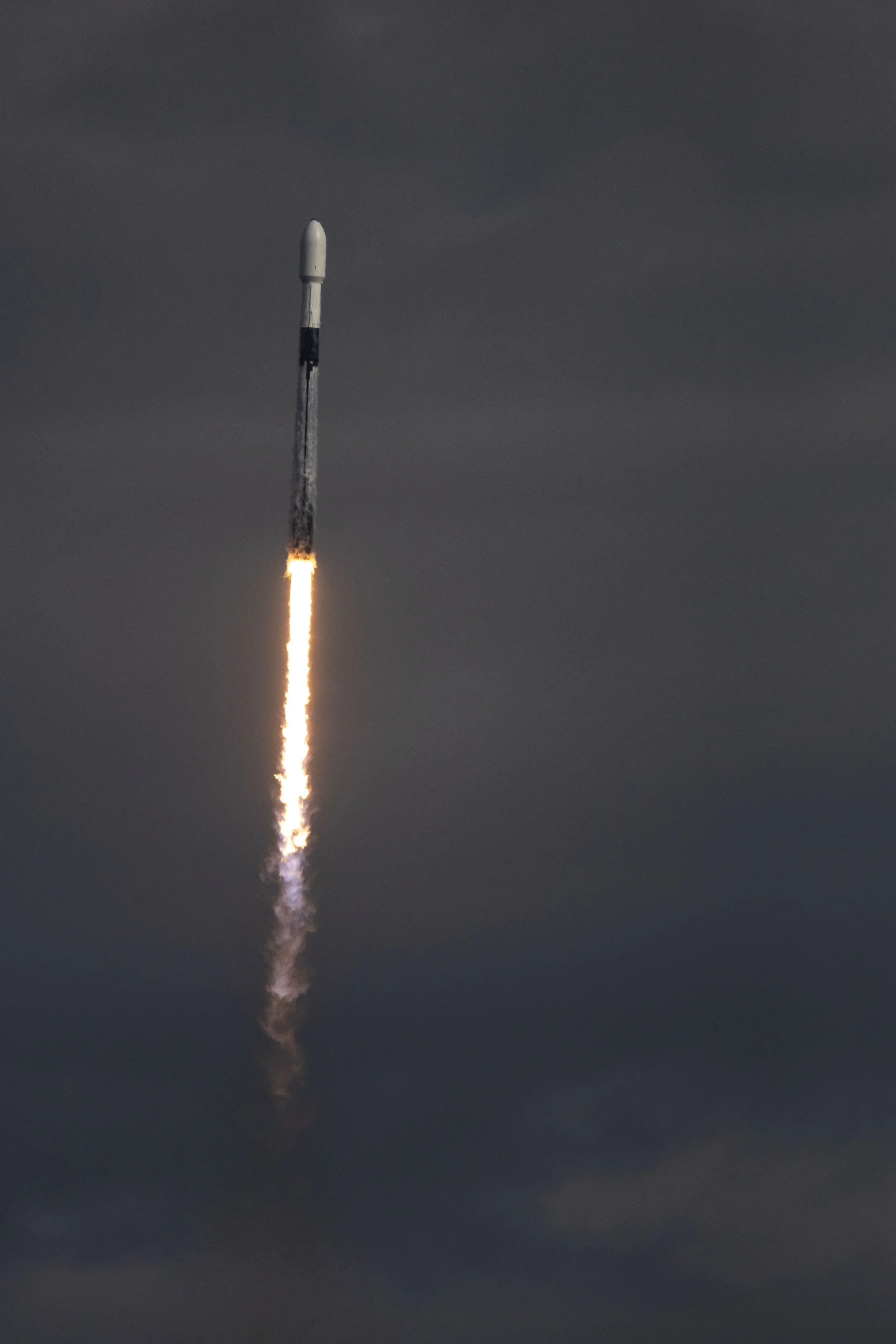 20210124100506459 Transporter 1.jpg