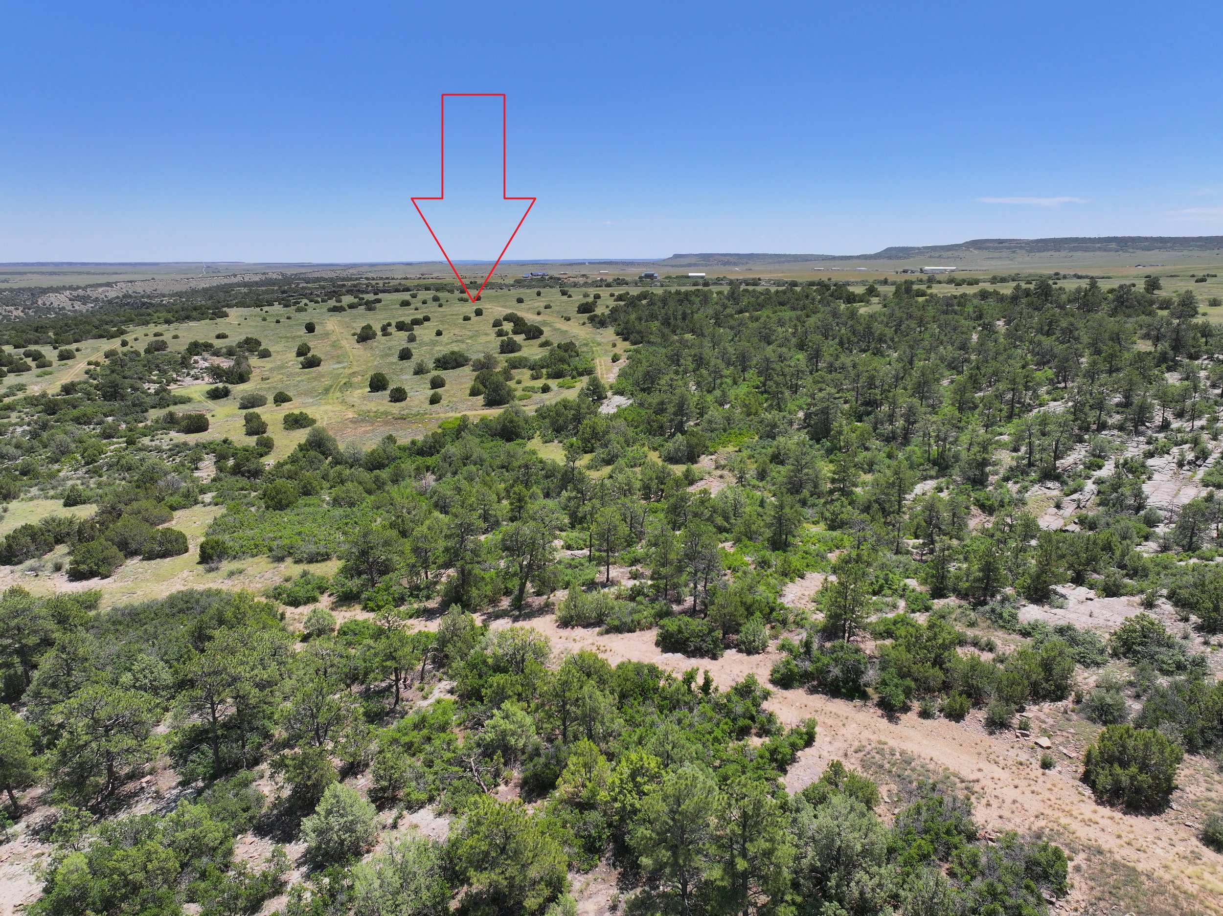 Pic 5 - Lot 421 Mount Shavano St.jpg