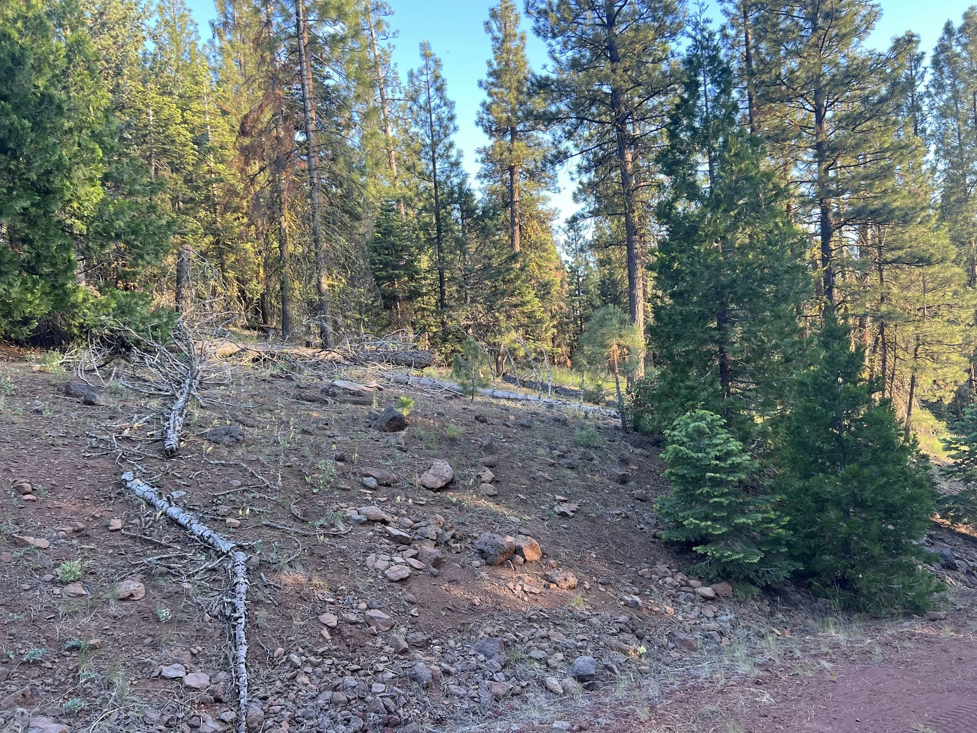 IMG_8023.jpg