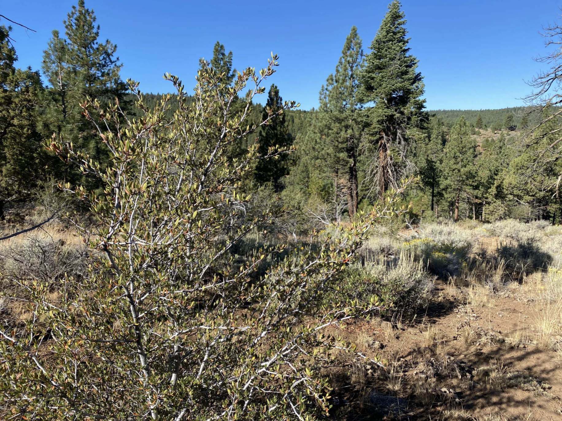 Screenshot 2026-04-17 at 10.16.06 AM.png