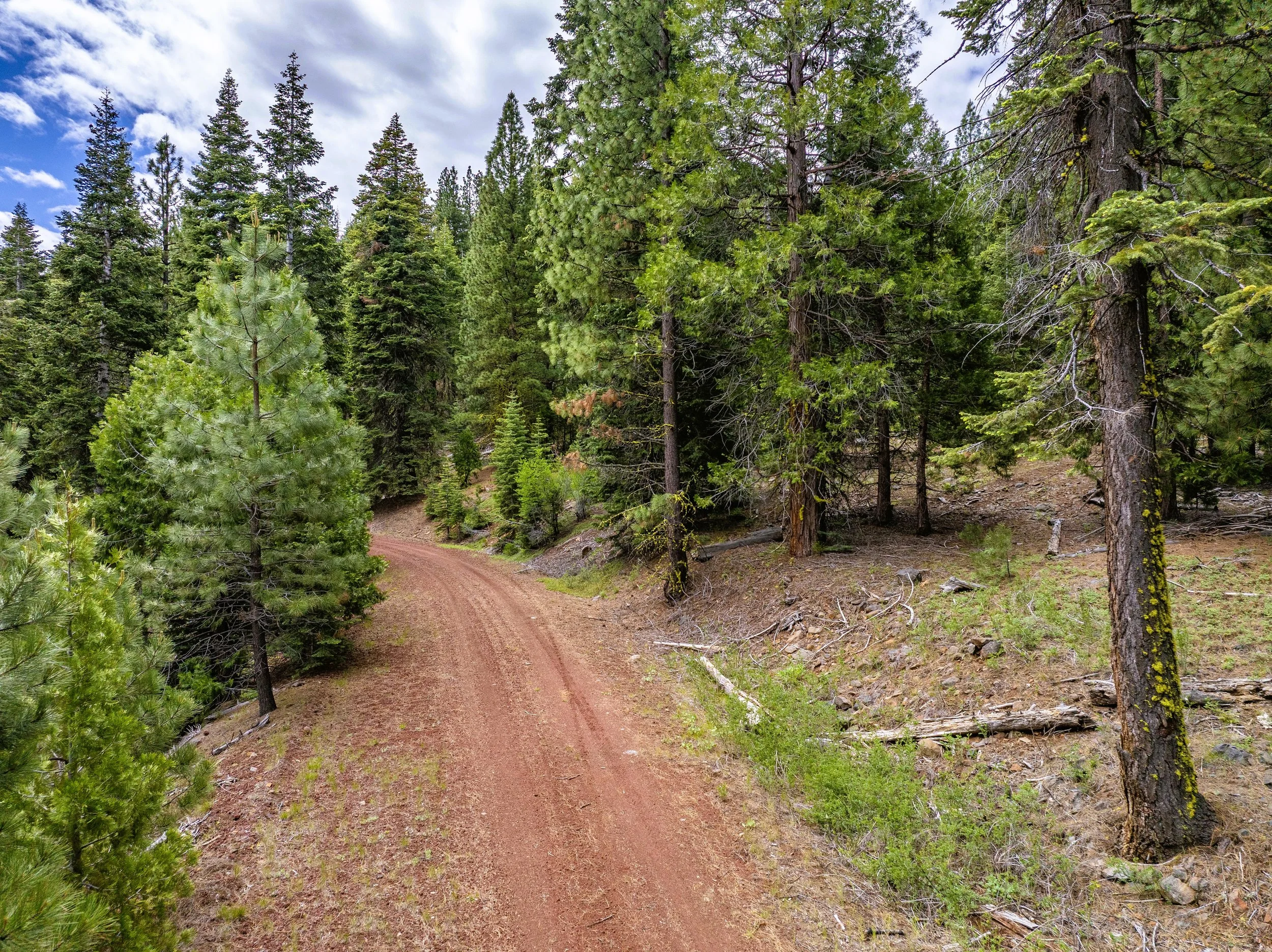 $ 4,950. 1.58 Acres. Lot 4 Joines Rd. Financing Available $ 99 Down And $ 97.67 A Month for 60 Months.