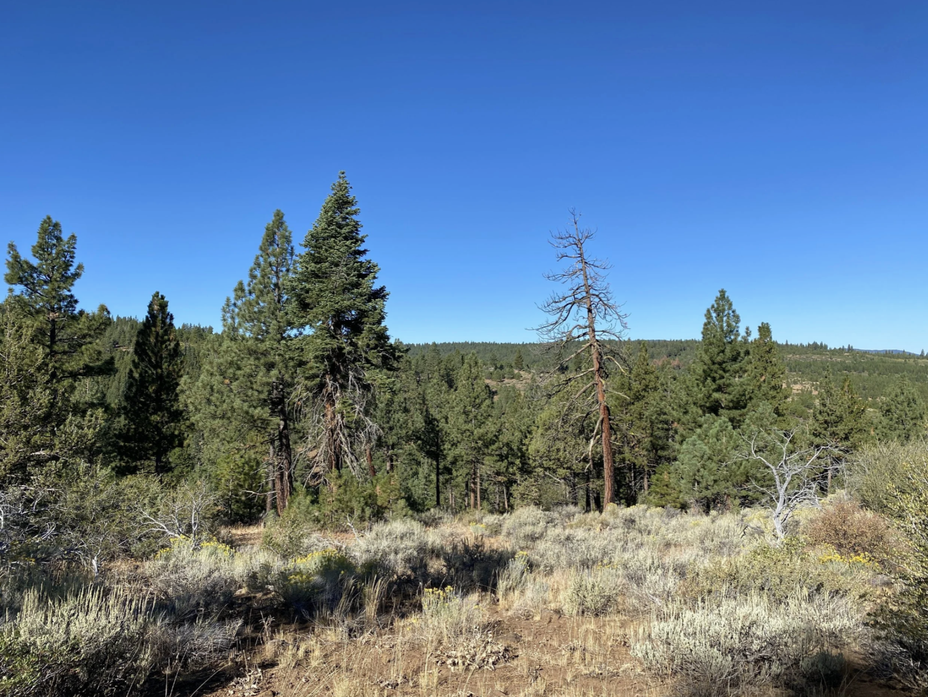 Screenshot 2026-04-17 at 10.11.42 AM.png