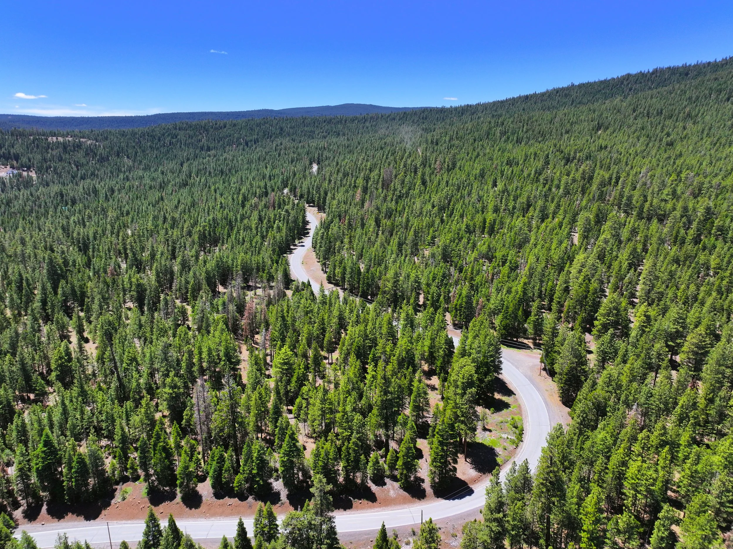 Drone - Lot 28 California Pines Blvd )2024-06-18 09.28.39).jpg
