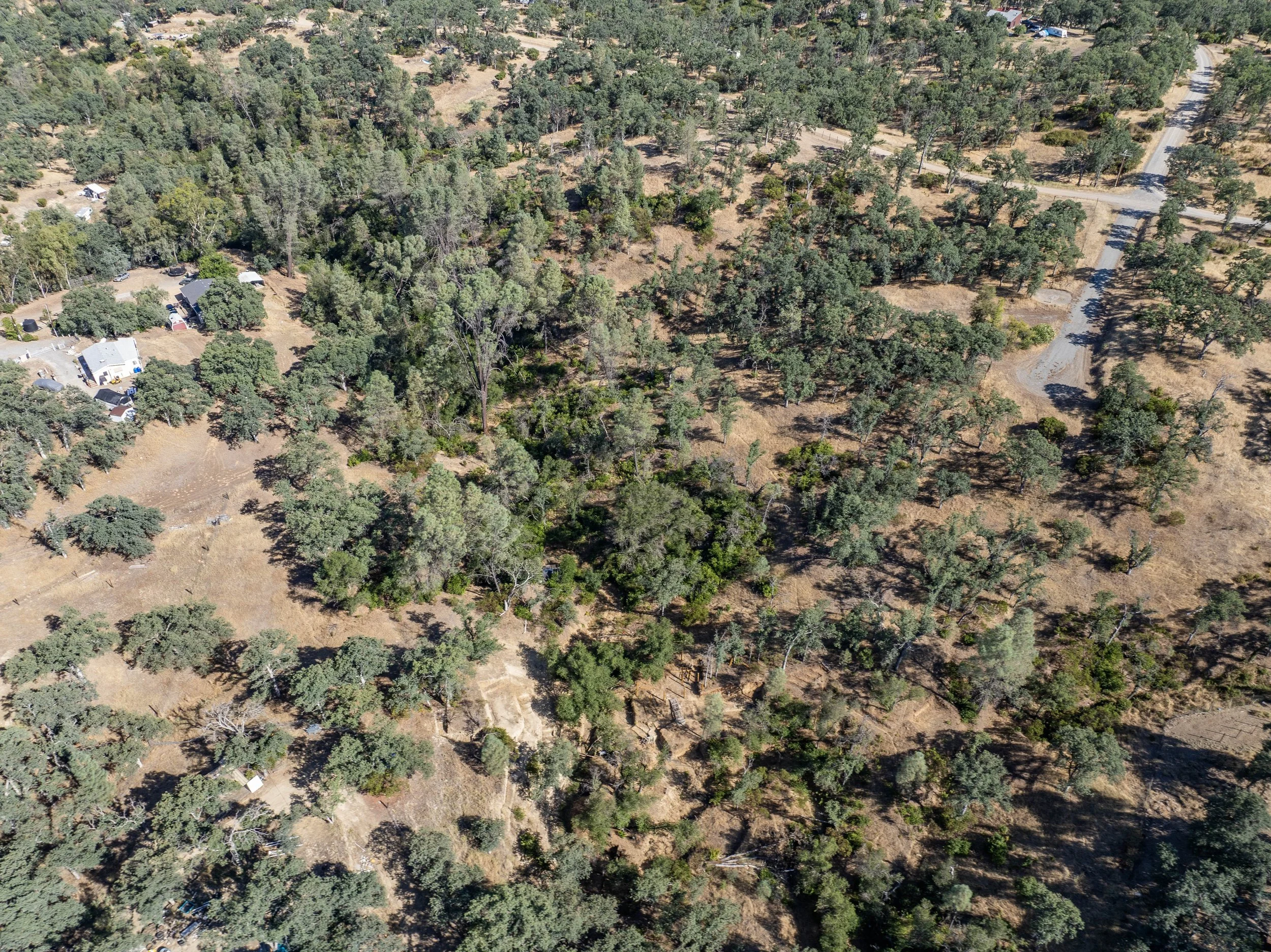 15-7200 Whitetail Way - E-14.jpg