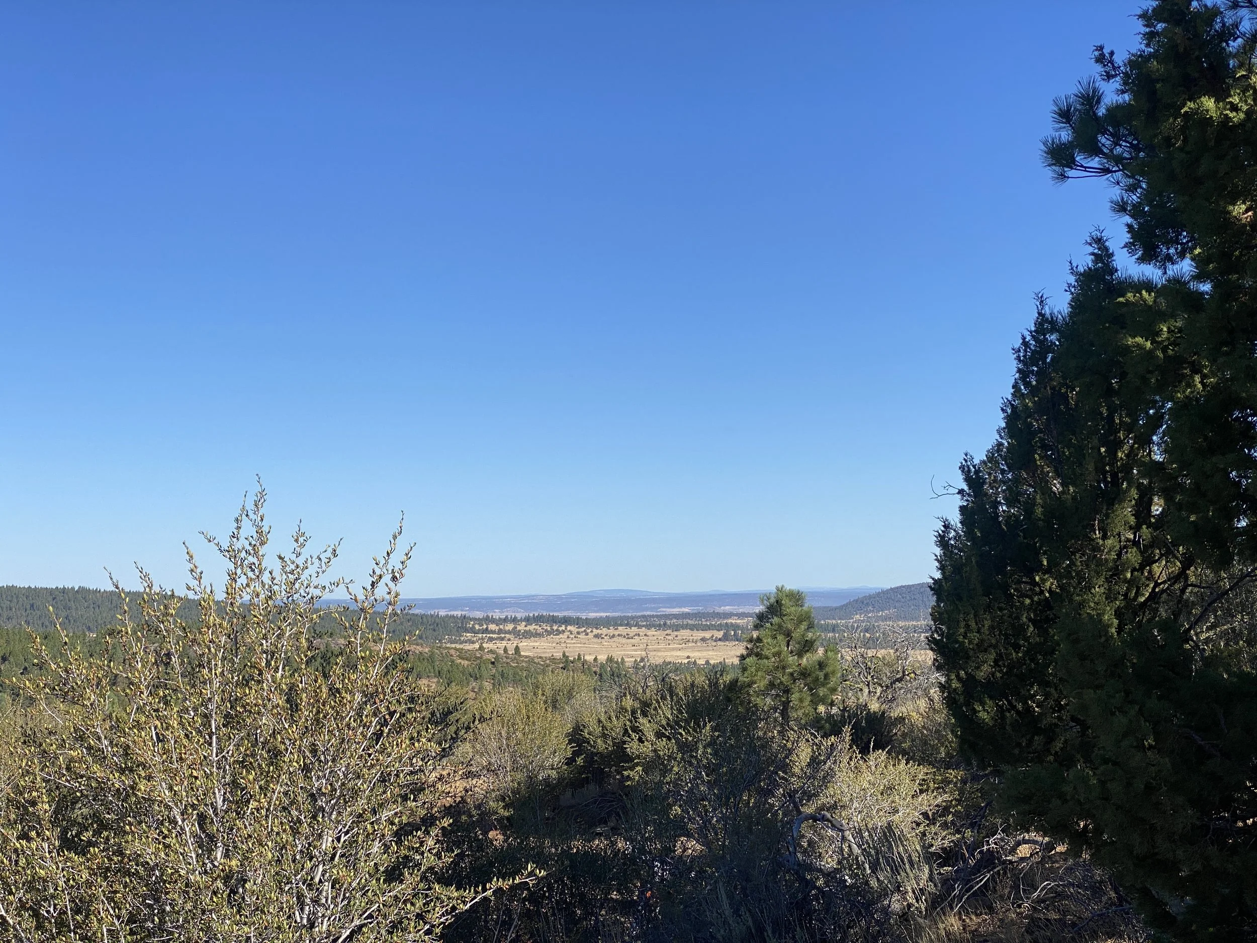 $ 3950  1.1 Acres Lot 70 Timber Dr.  Cul-De-Sac Lot Hill 5 "End Of The Road" Finance For $ 100 Down And $ 76.51 A Month