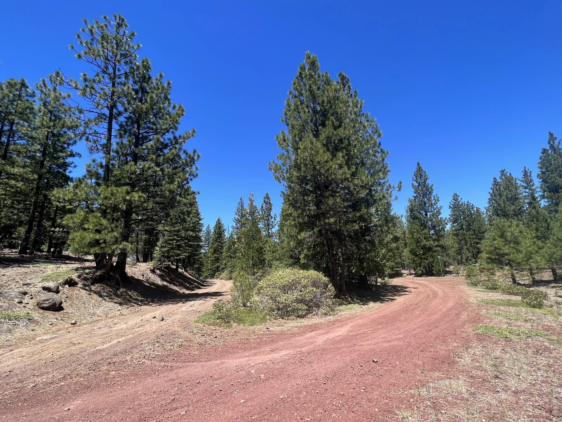 $ 4,950  1.3 Acres At Blackwell And Carlsberg. Finance for 350 Down And 135.93 A Month for 48 Months At 7.7% Interest