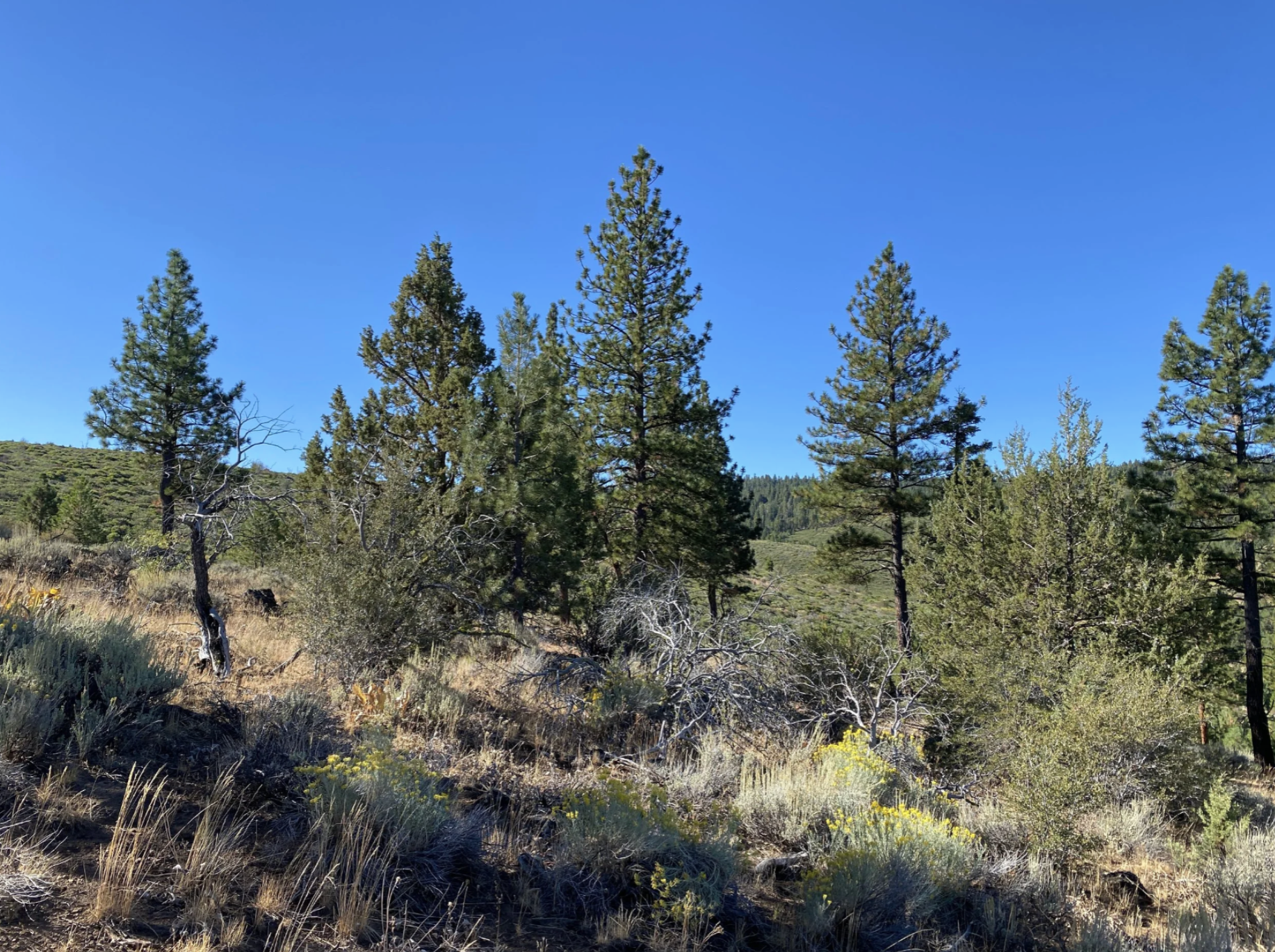 Screenshot 2026-04-17 at 10.12.22 AM.png