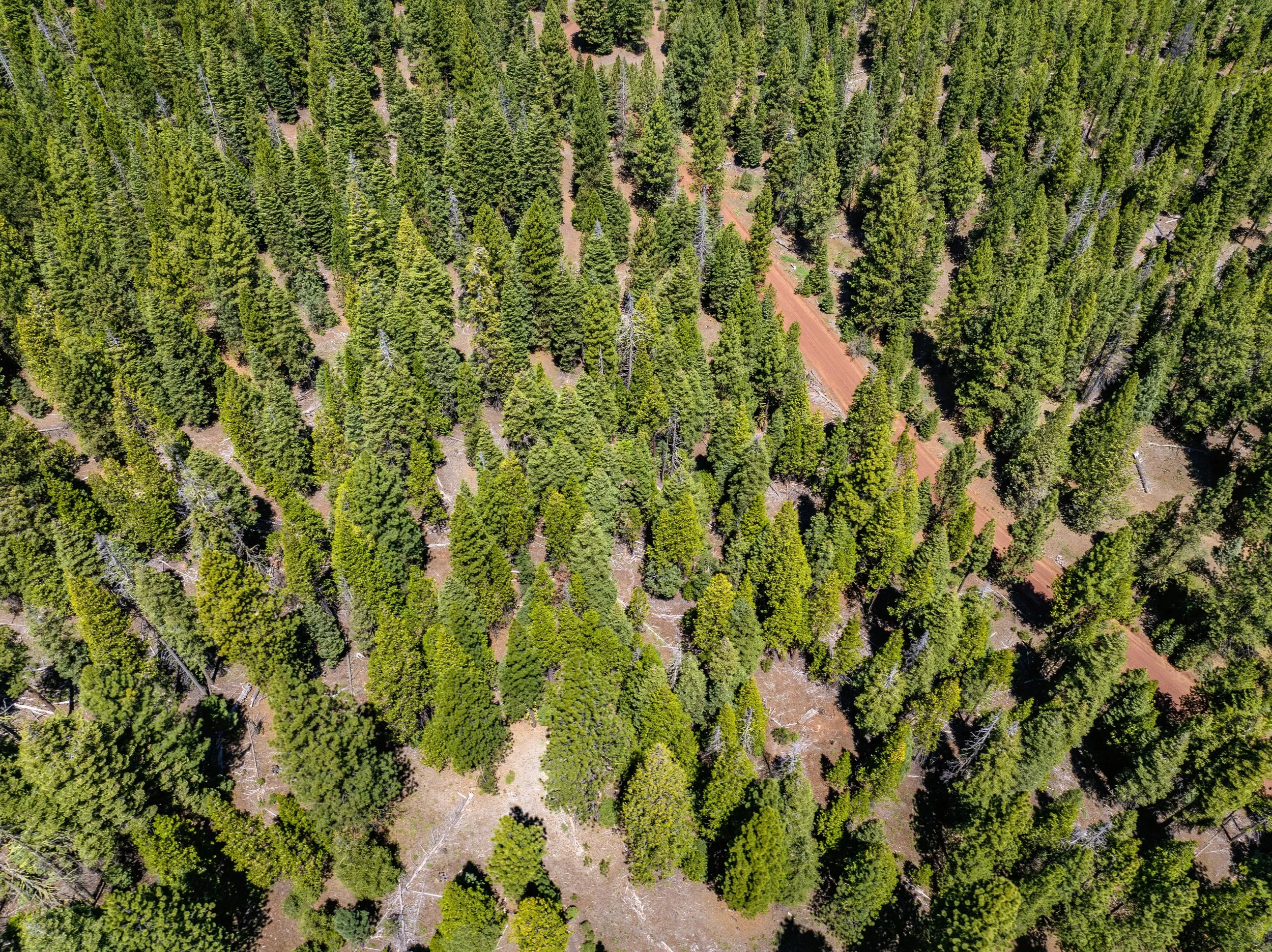 038-093-006-000 - E - 15.jpg