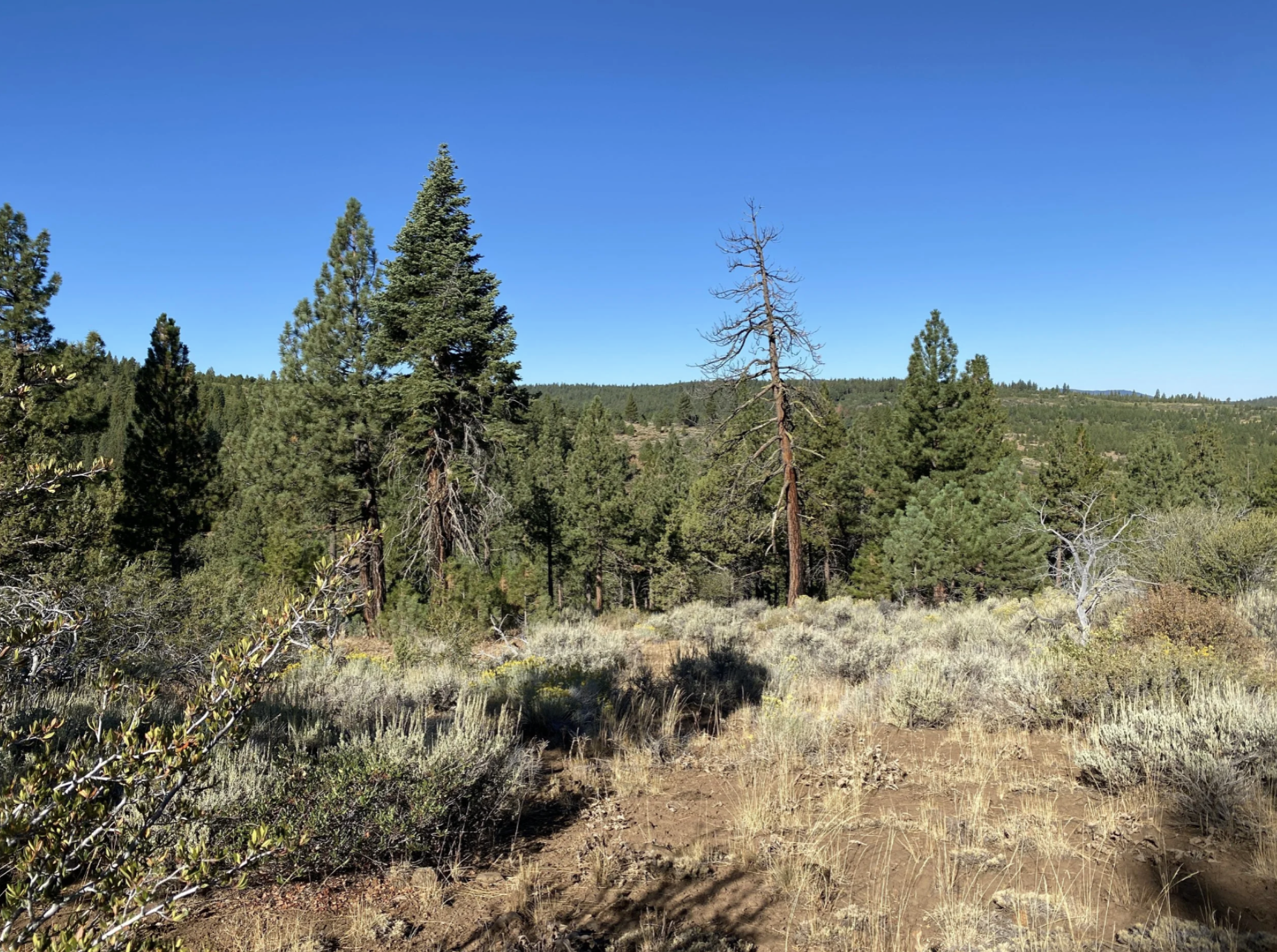 Screenshot 2026-04-17 at 10.12.36 AM.png