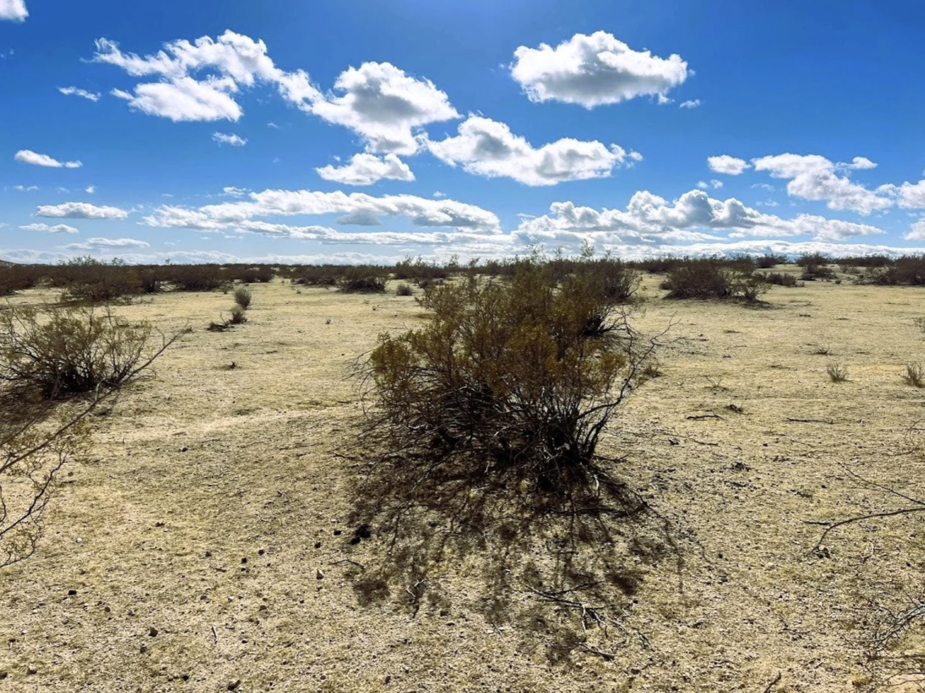 Pic 2 - Lot 473 Hargett Dr.png