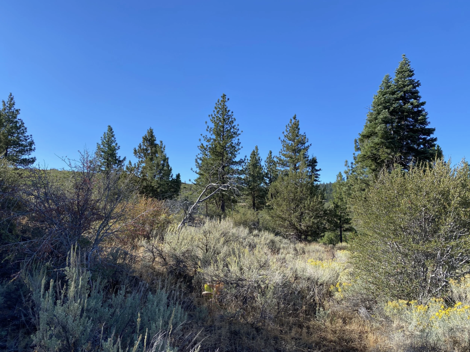 Screenshot 2026-04-17 at 10.11.55 AM.png