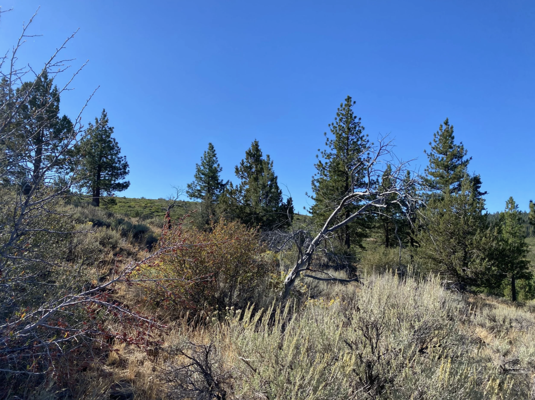 Screenshot 2026-04-17 at 10.12.09 AM.png