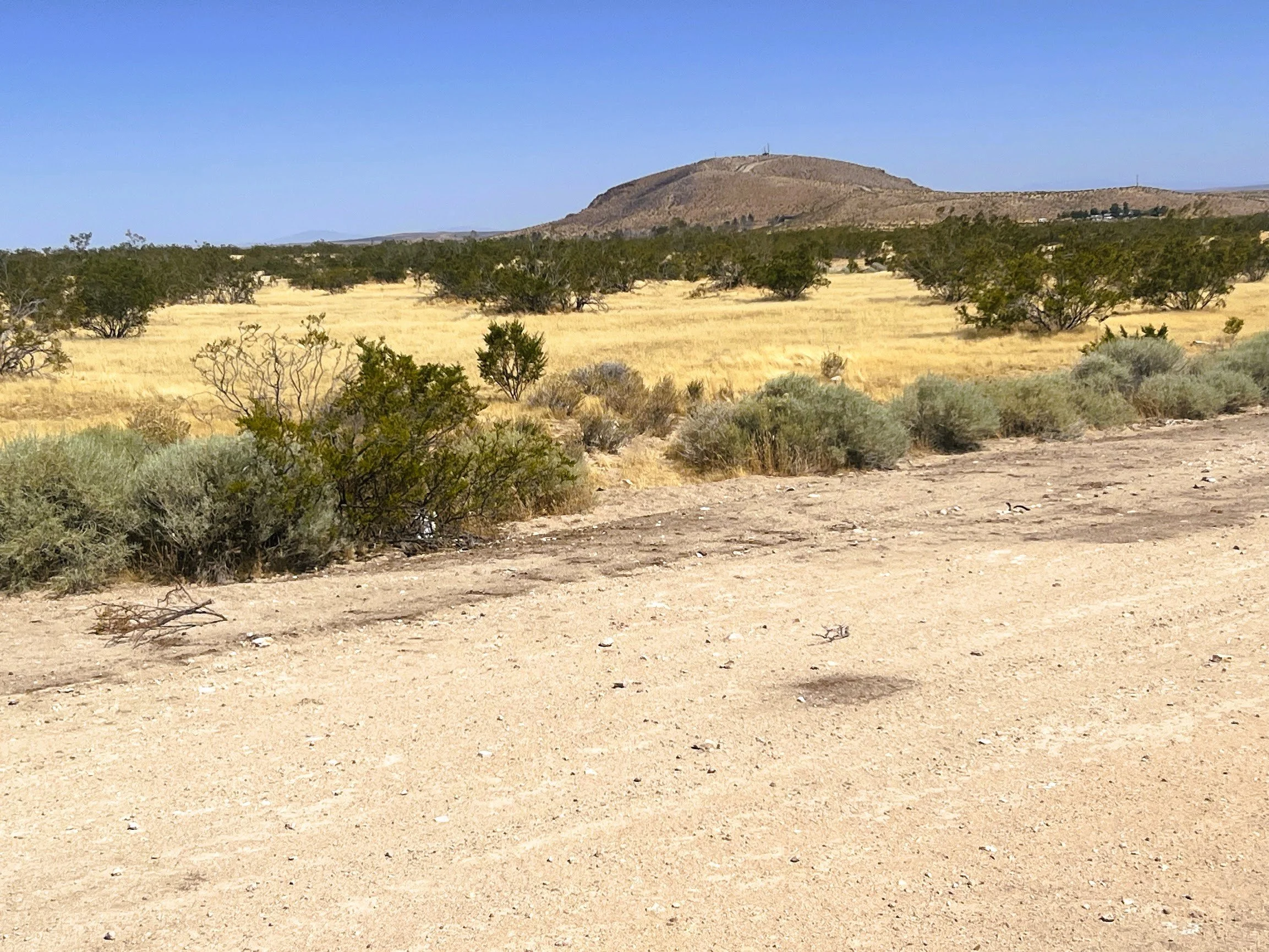 $ 3,950.  0.21 Acres.  Lot 307 Wittmeter Ct. Water Lines Available. Financing Available $ 99 Down And $ 77.53 A Month For 60 Months.