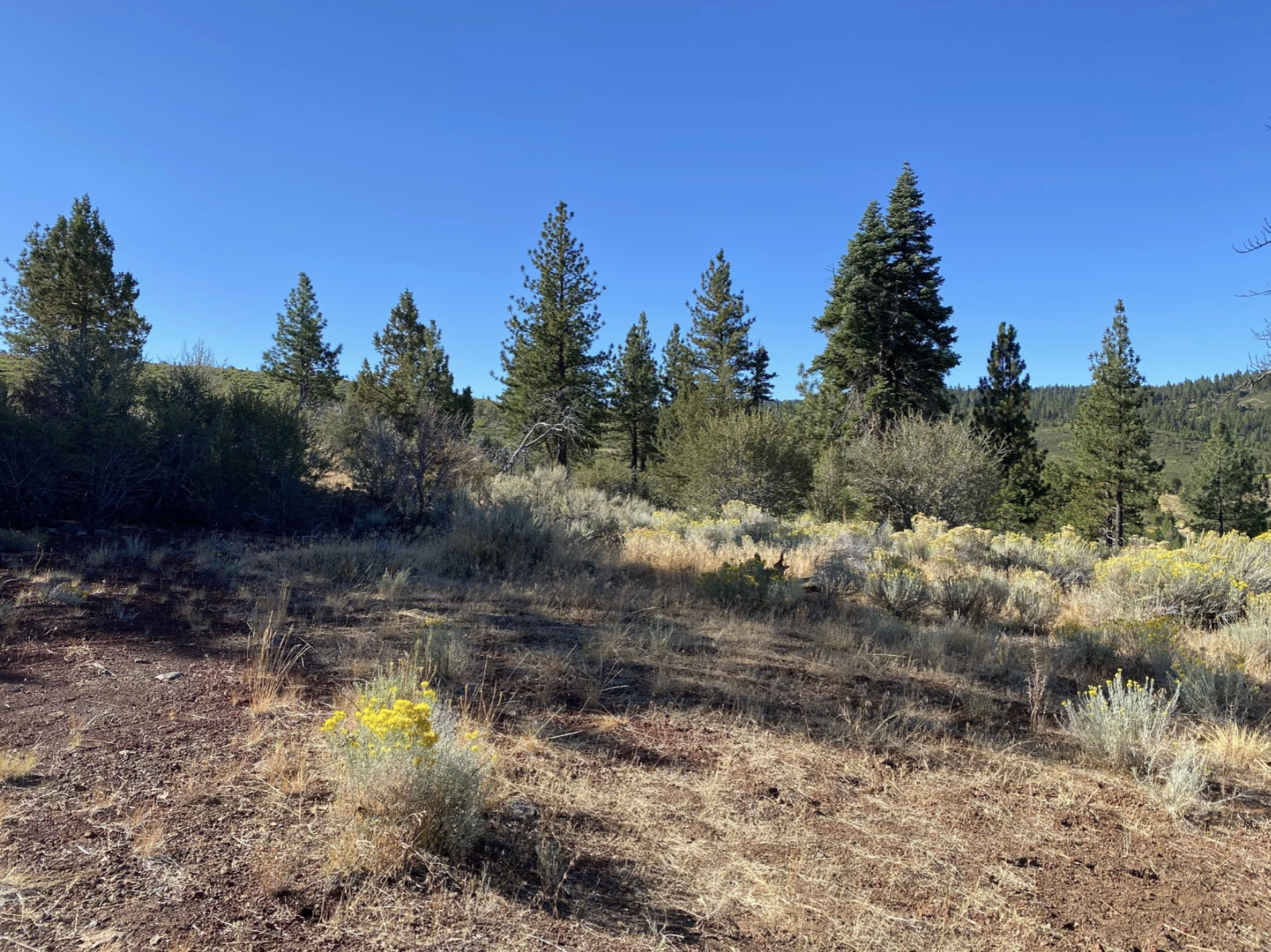 Screenshot 2026-04-17 at 10.12.48 AM.png