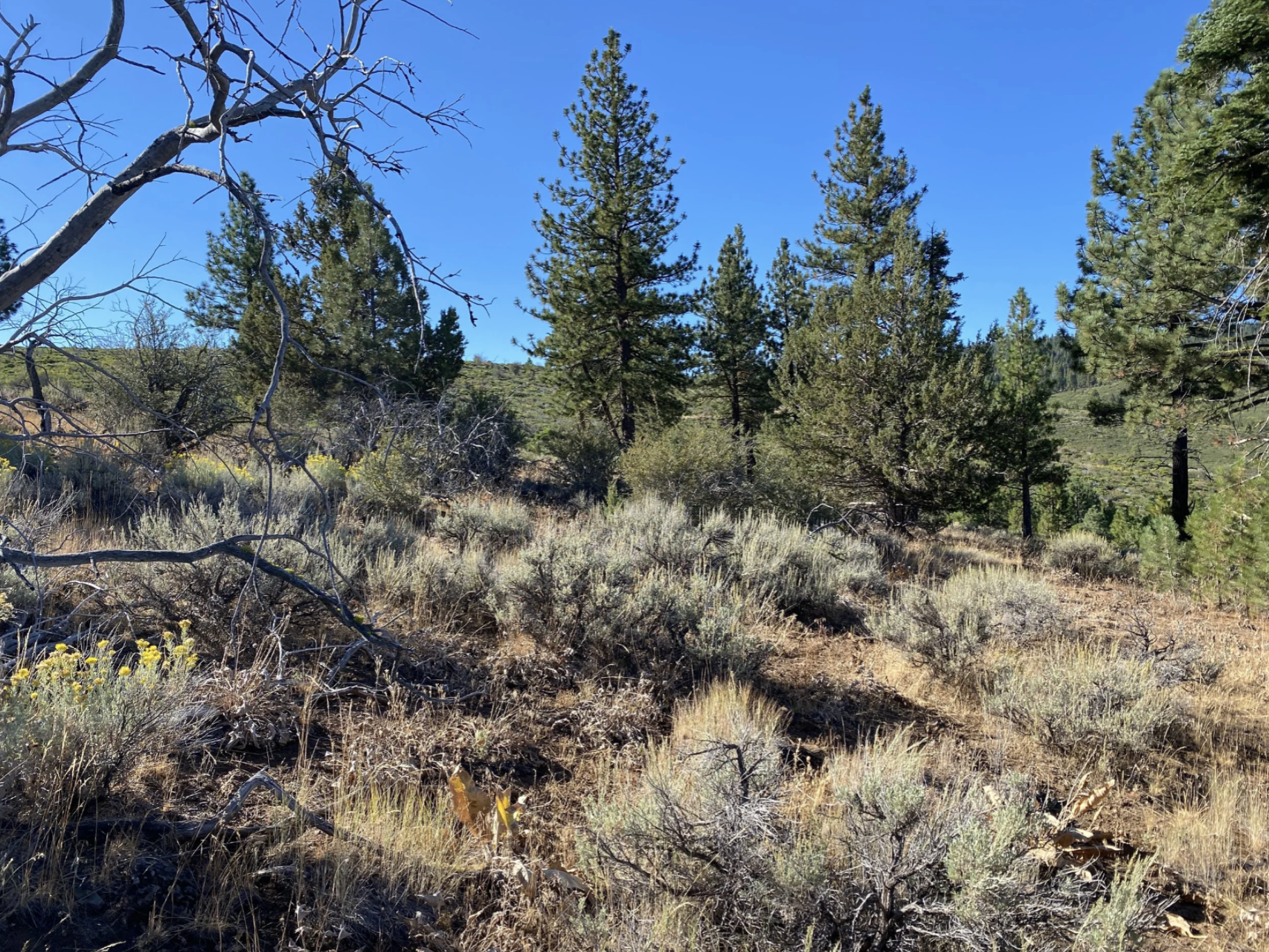 Screenshot 2026-04-17 at 10.16.18 AM.png