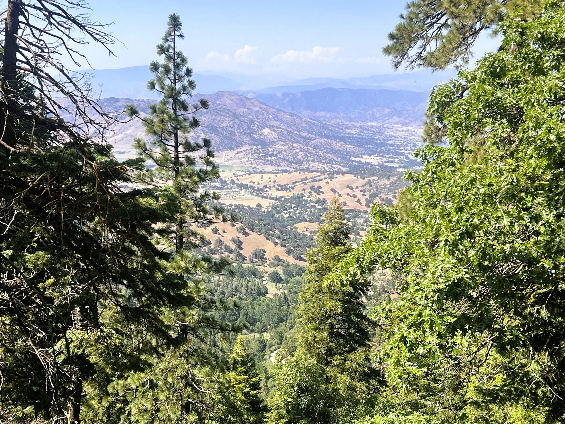 $ 19,500.  4.43 Acres. Lot 131 Andermatt Dr. Financing Available $ 500 Down And $ 382.53 A Month for 60 Months.