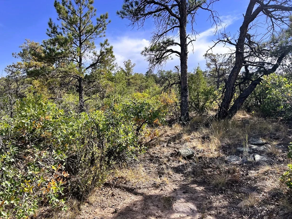 Pic 9 - Lot 35 San Carlos Dr.webp