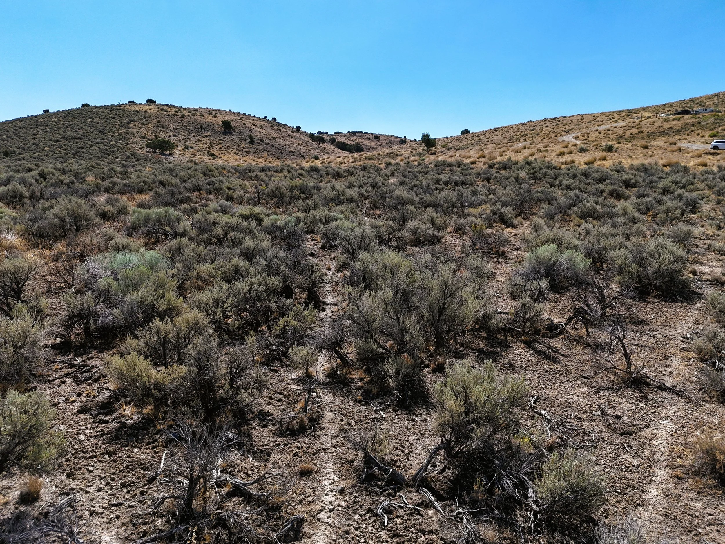 Ground south mid property.jpg