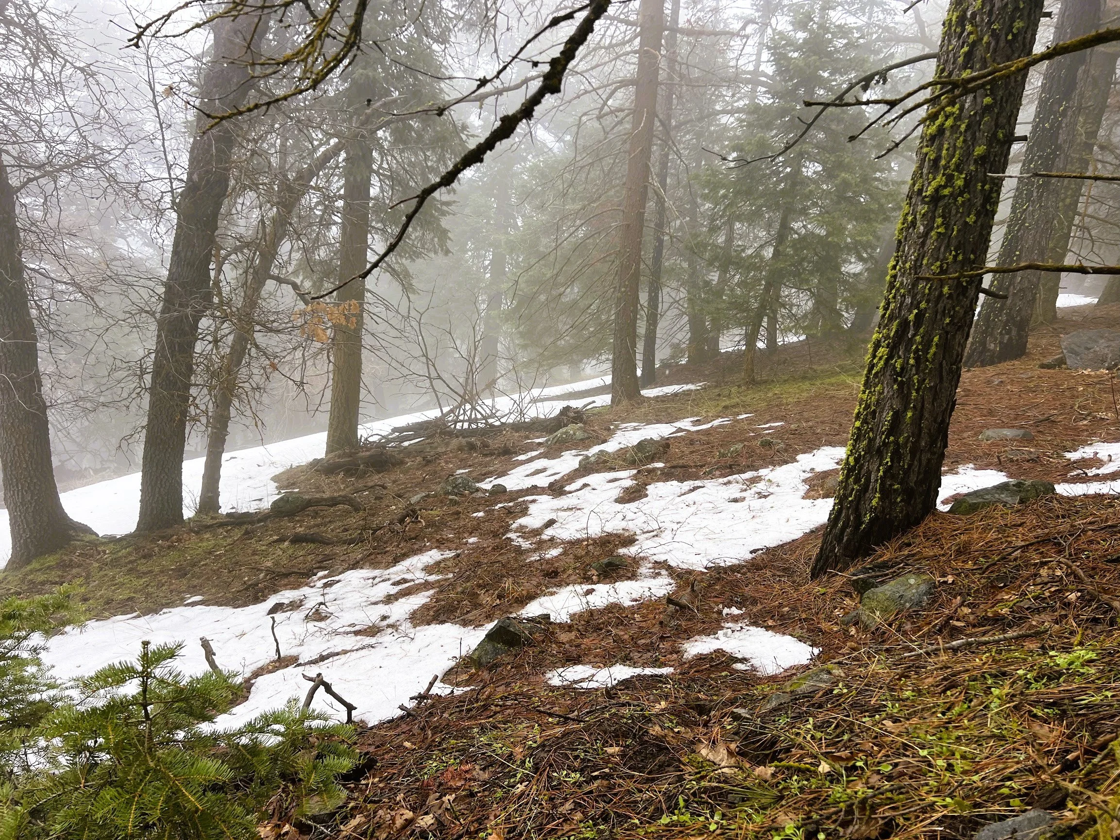 Pic 13 - Lot 131 Andermatt Dr.jpg