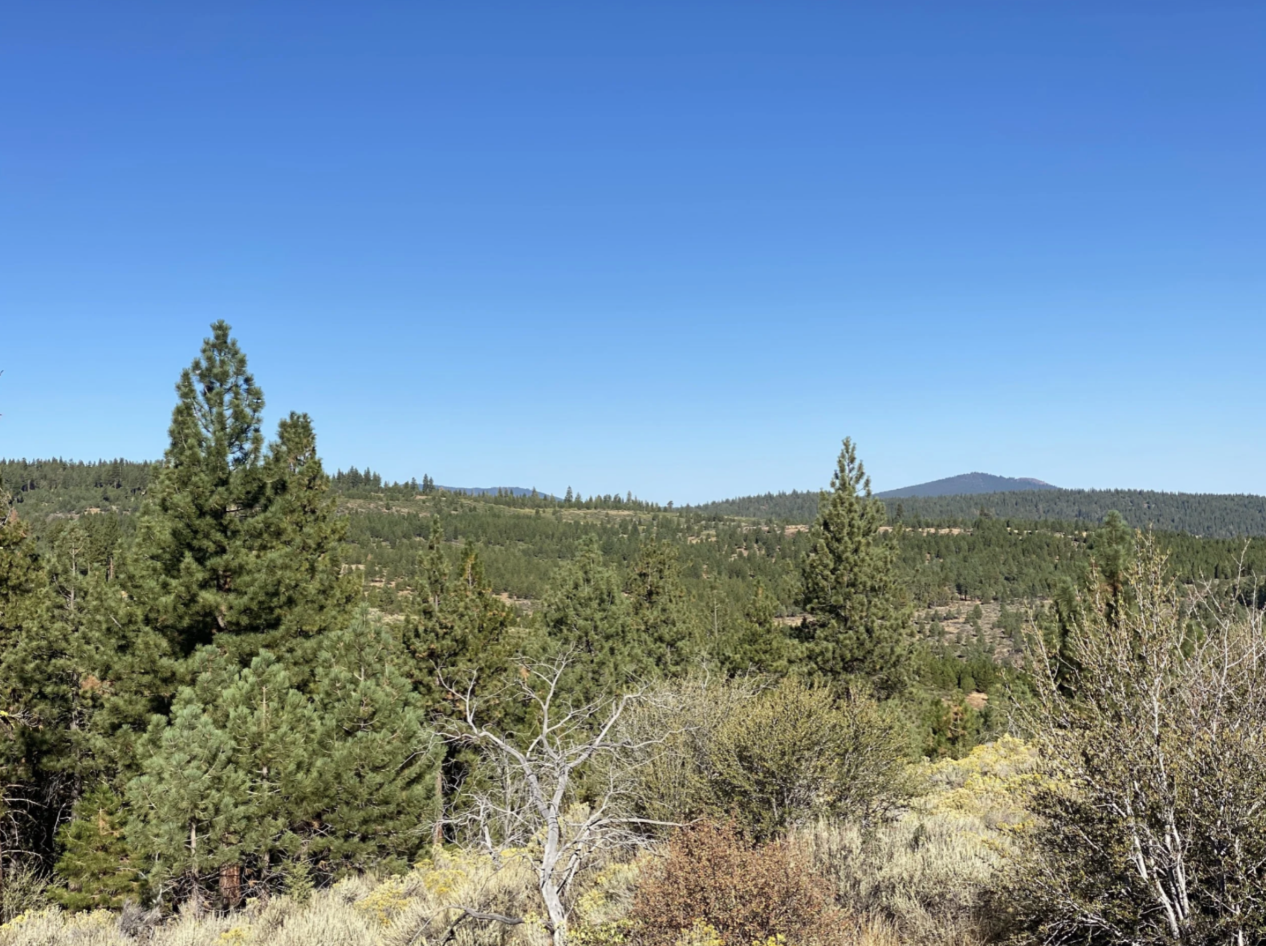 Screenshot 2026-04-17 at 10.11.09 AM.png