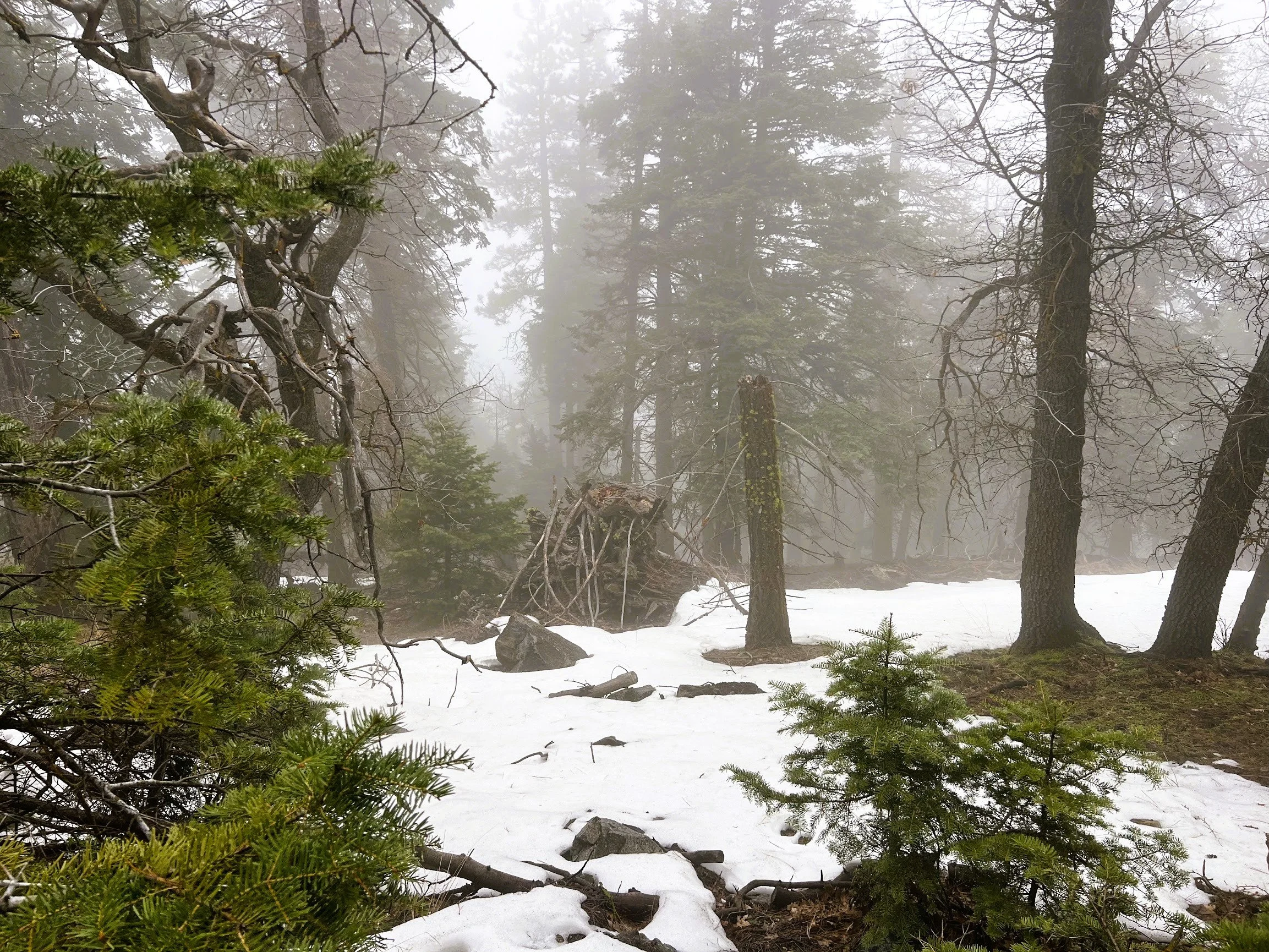 Pic 12 - Lot 131 Andermatt Dr.jpg