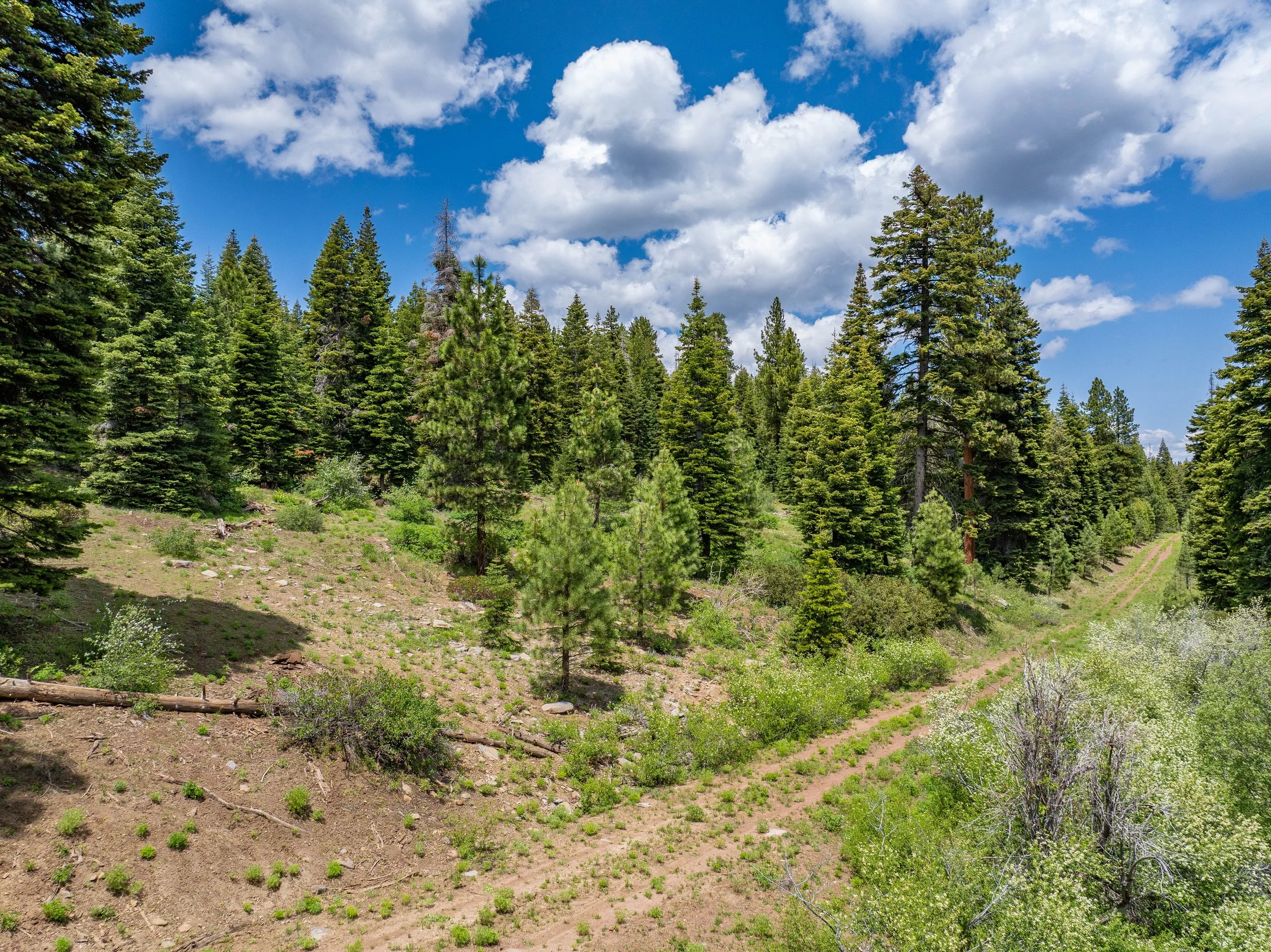 $ 12,500. Double Lots, Side-by-side, 1.84 Acres Backing Up to National Forest !   Lot 62 & 63 Sweagert Rd. Available For $ 500 Down And $ 241.60 a month for 60 months at 7.7% Interest