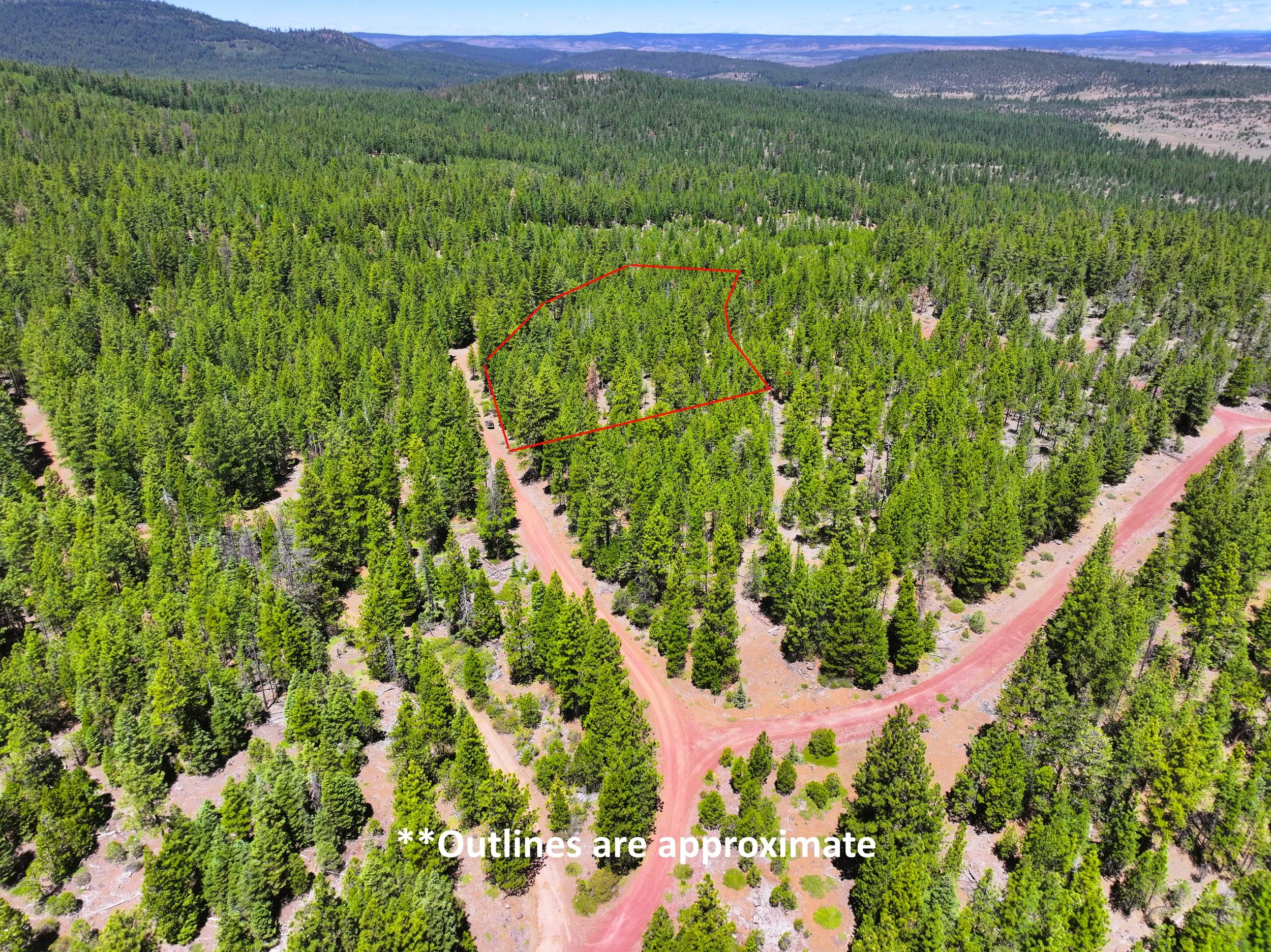 Drone Outline (2024-06-18 09.22.08).jpg