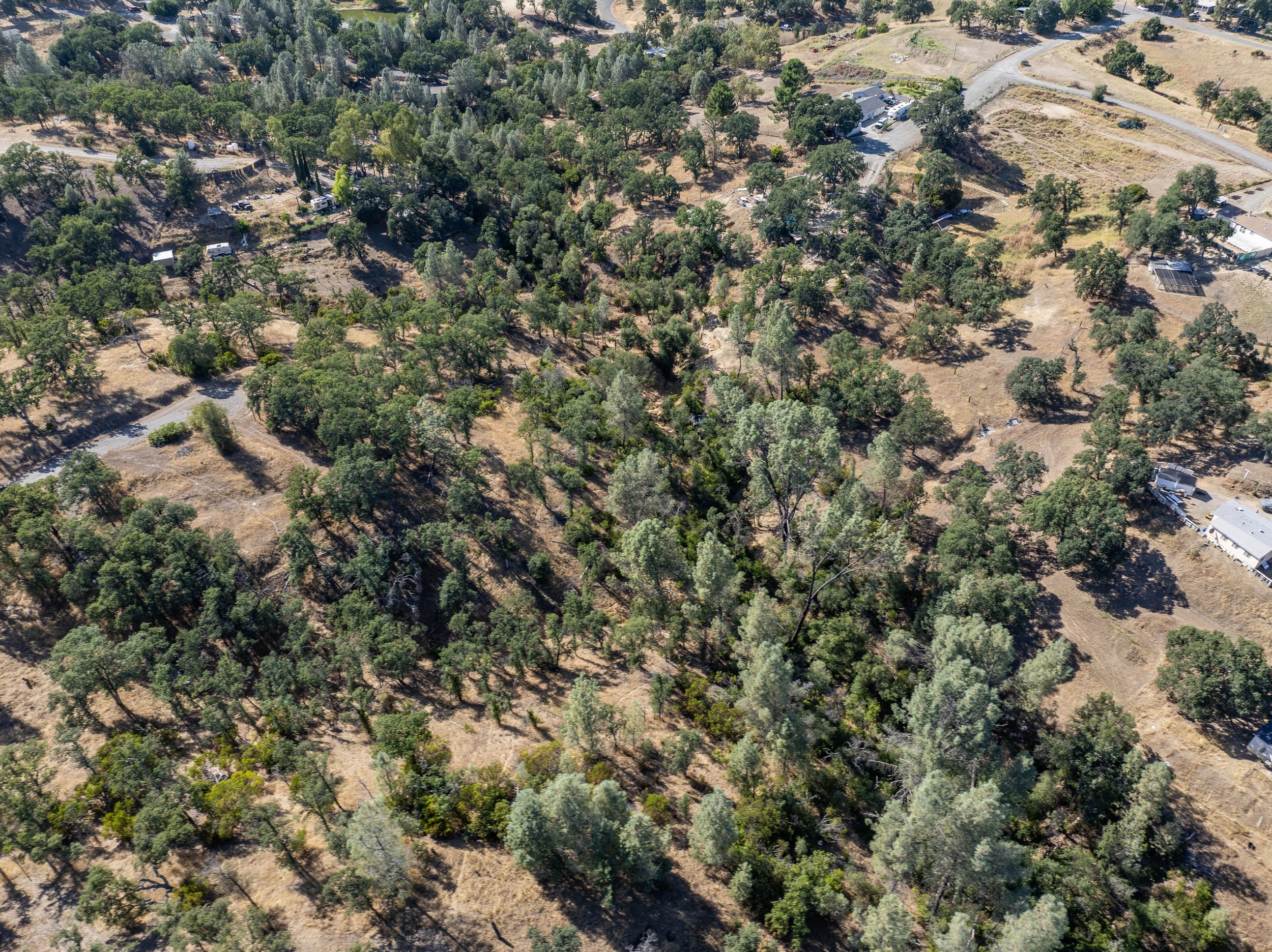 20-7200 Whitetail Way - E-20.jpg