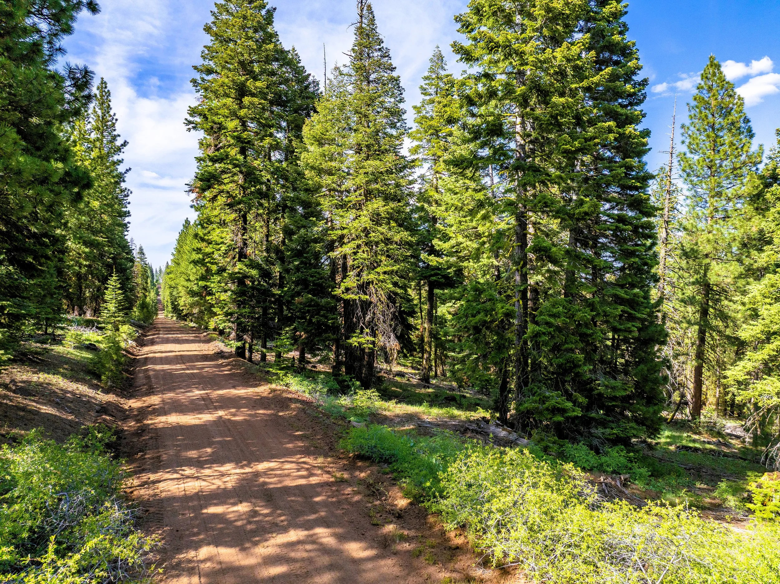 $  3,950. 0.92 Acres. Lot 33 Ridge Rd. Available For $ 150 Down And $ 118.55 A Month for 36 Months .