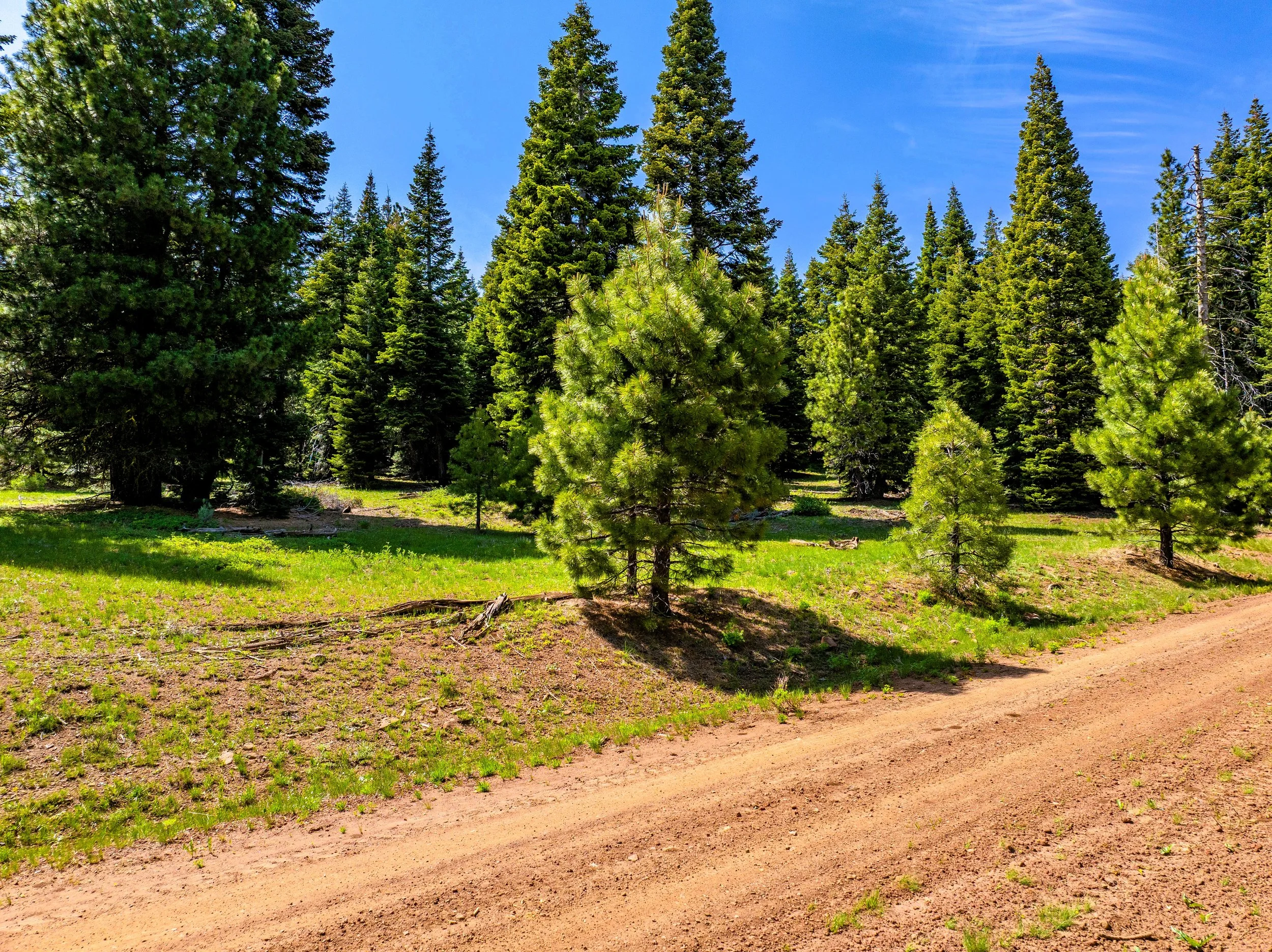 $ 4,950. 0,877 Acres. Lot 38 Corral Rd. Available For $ 99 Down And $ 97.67 A Month