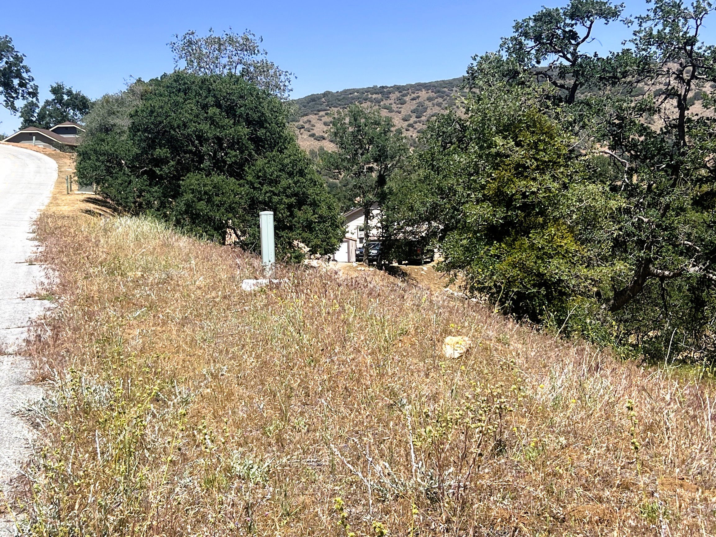 IMG_3100.jpg