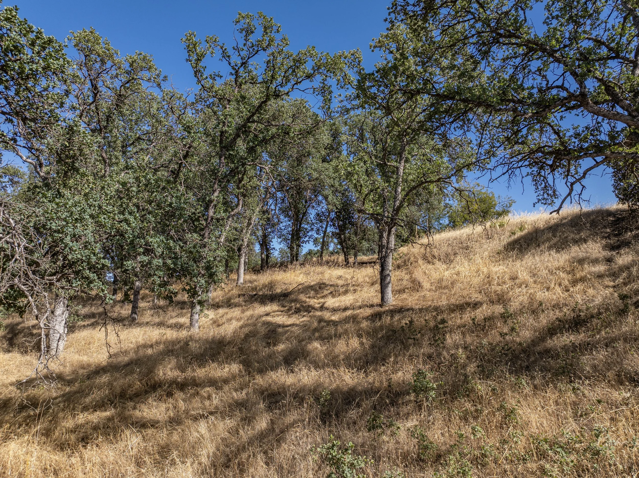 07-7200 Whitetail Way - E-6.jpg