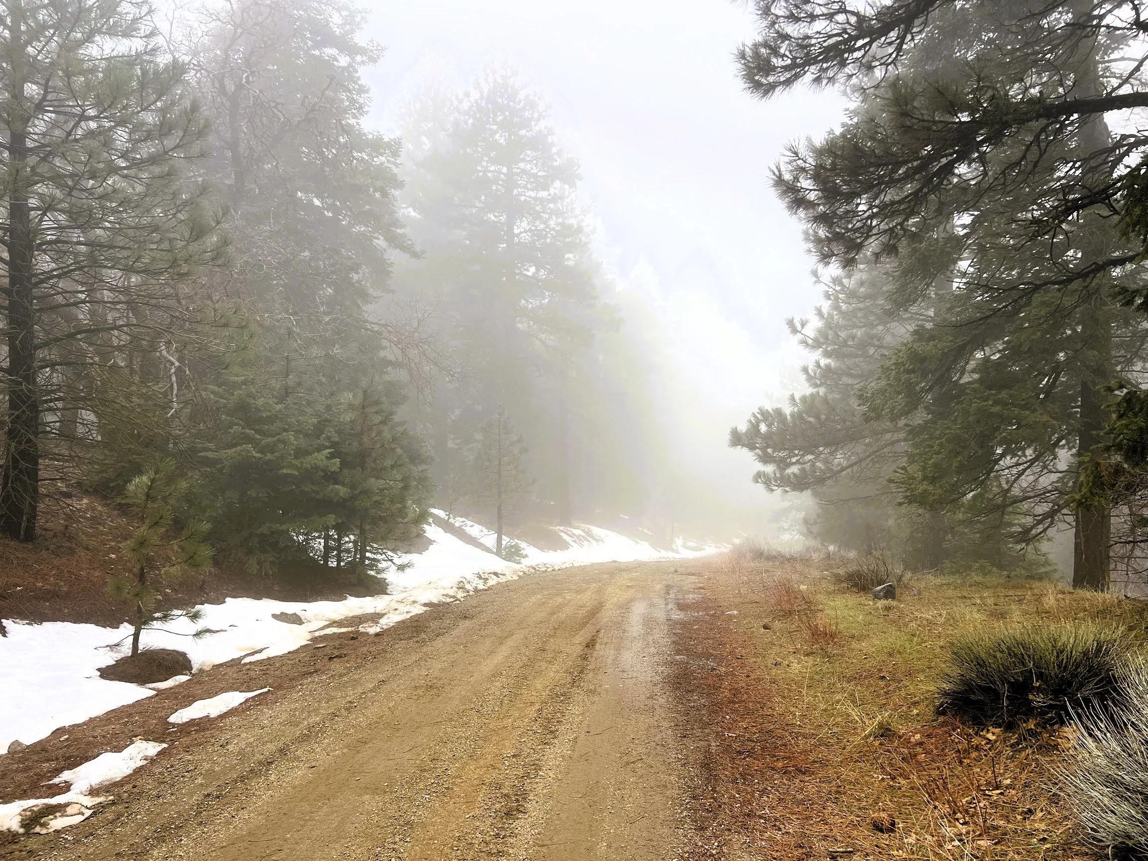 Pic 6 - Lot 131 Andermatt Dr.jpg