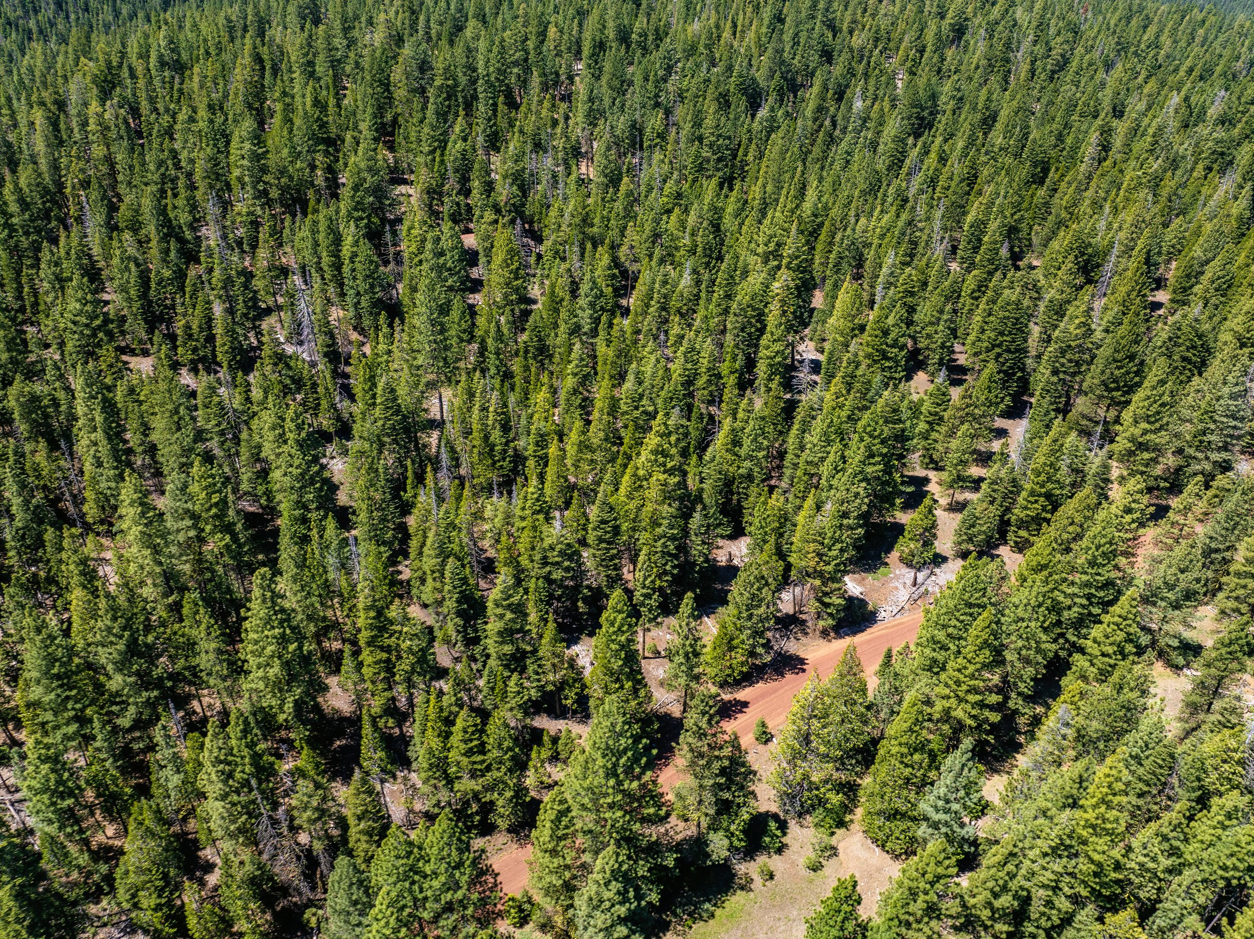 038-093-006-000 - E - 10.jpg