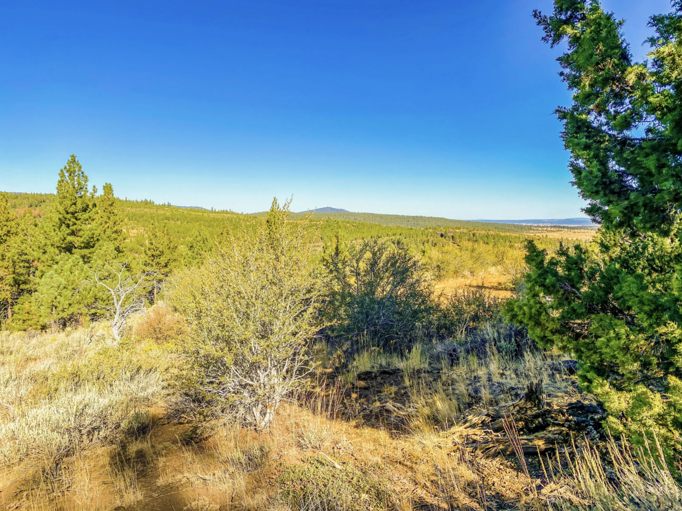 Pic 4 - Lot 15 Pine Nut Dr.png