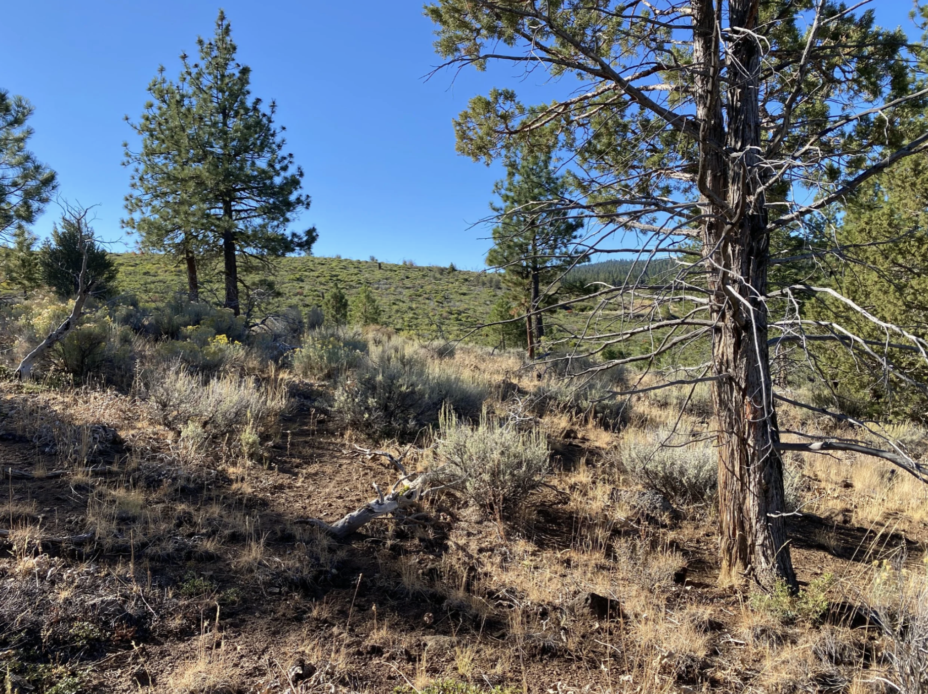 Screenshot 2026-04-17 at 10.16.30 AM.png